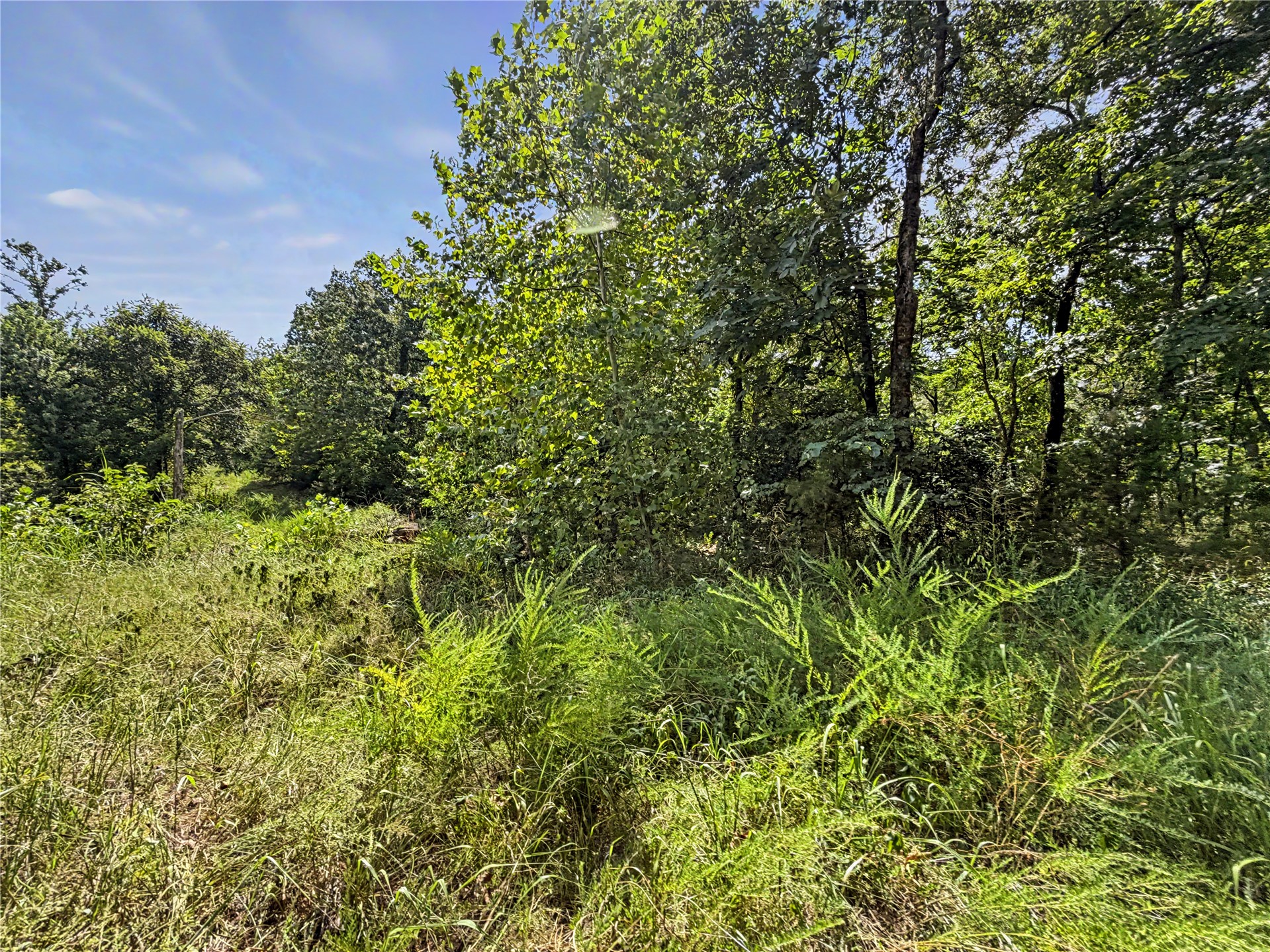 15265 W 917 Road Property Photo 31