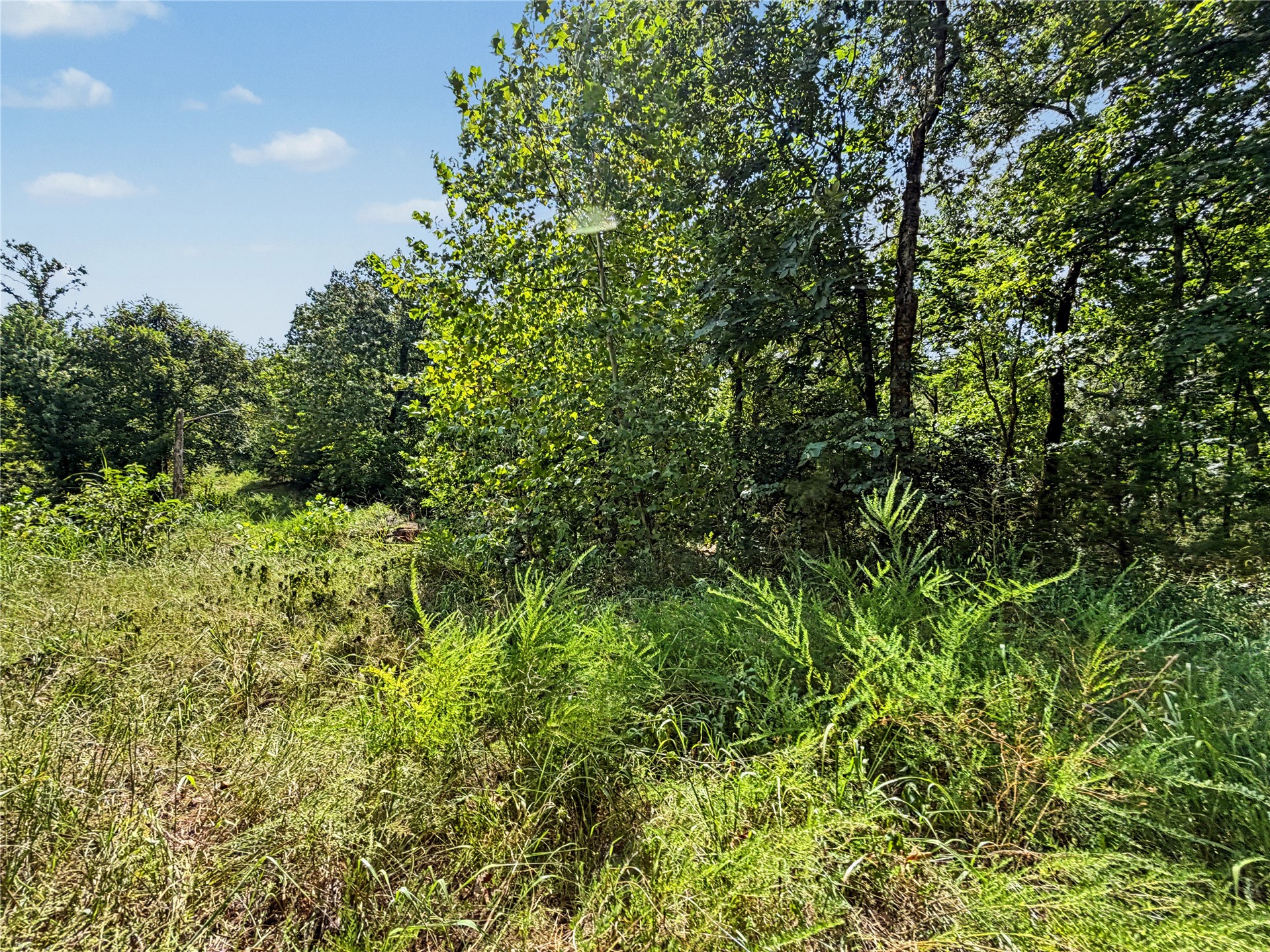 15265 W 917 Road Property Photo 31