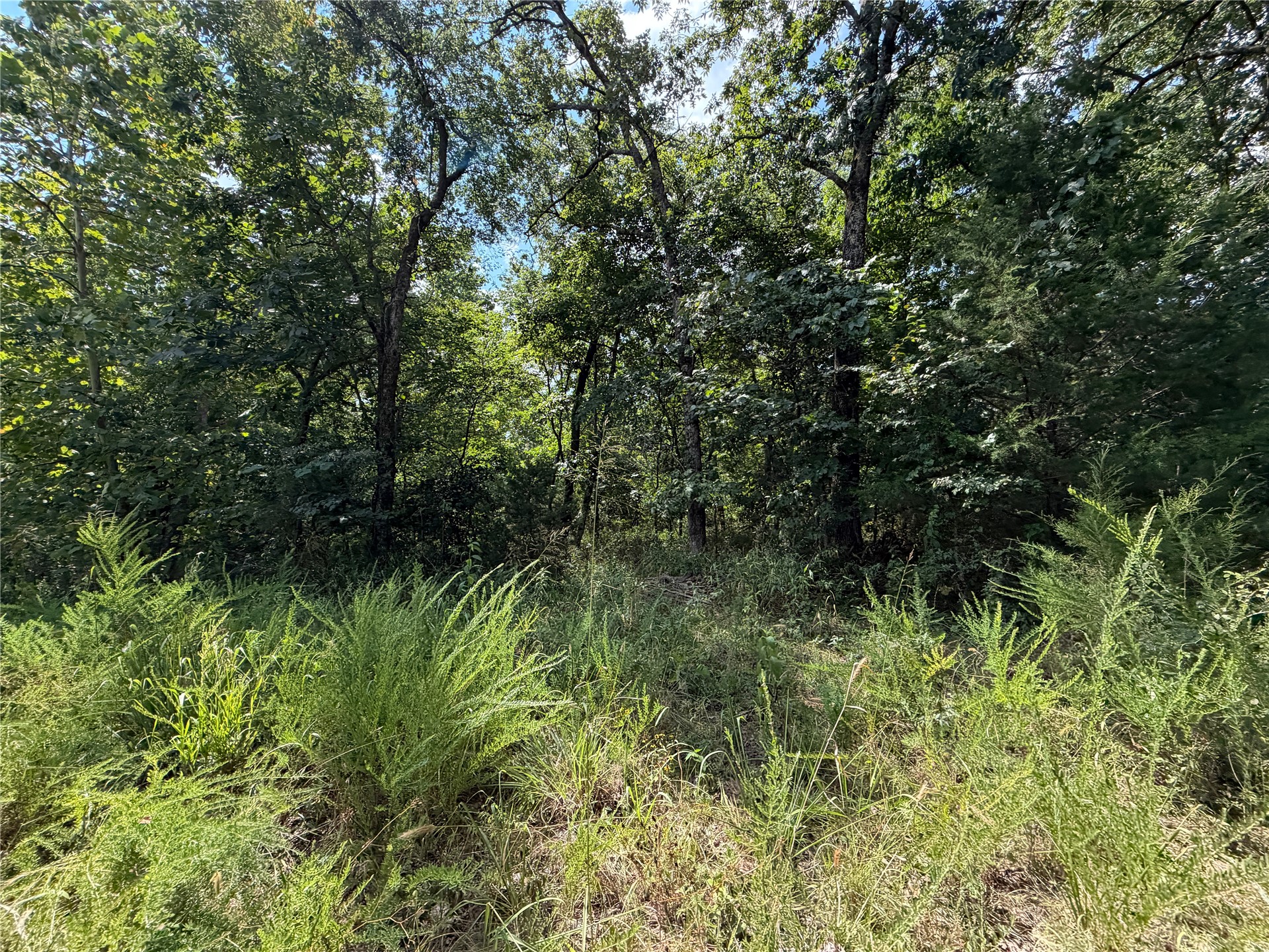15265 W 917 Road Property Photo 32