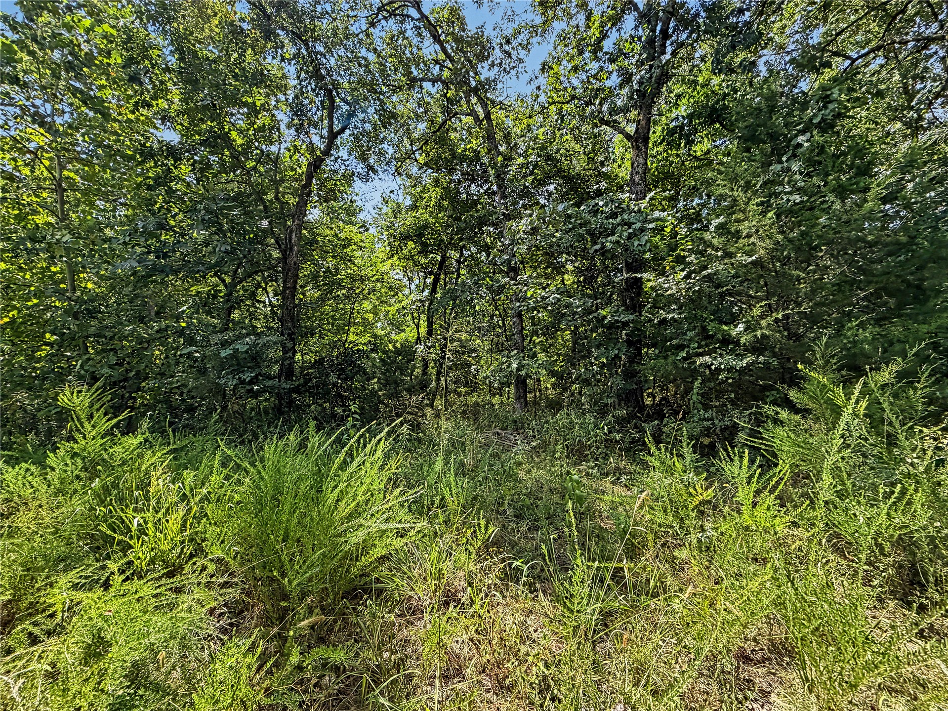 15265 W 917 Road Property Photo 32