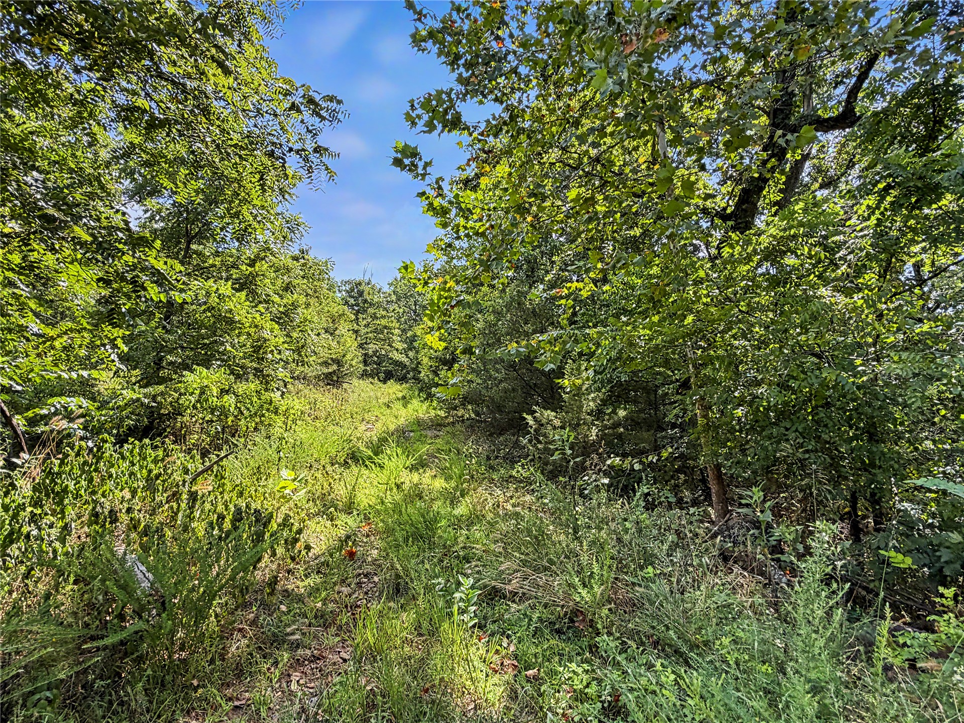 15265 W 917 Road Property Photo 34