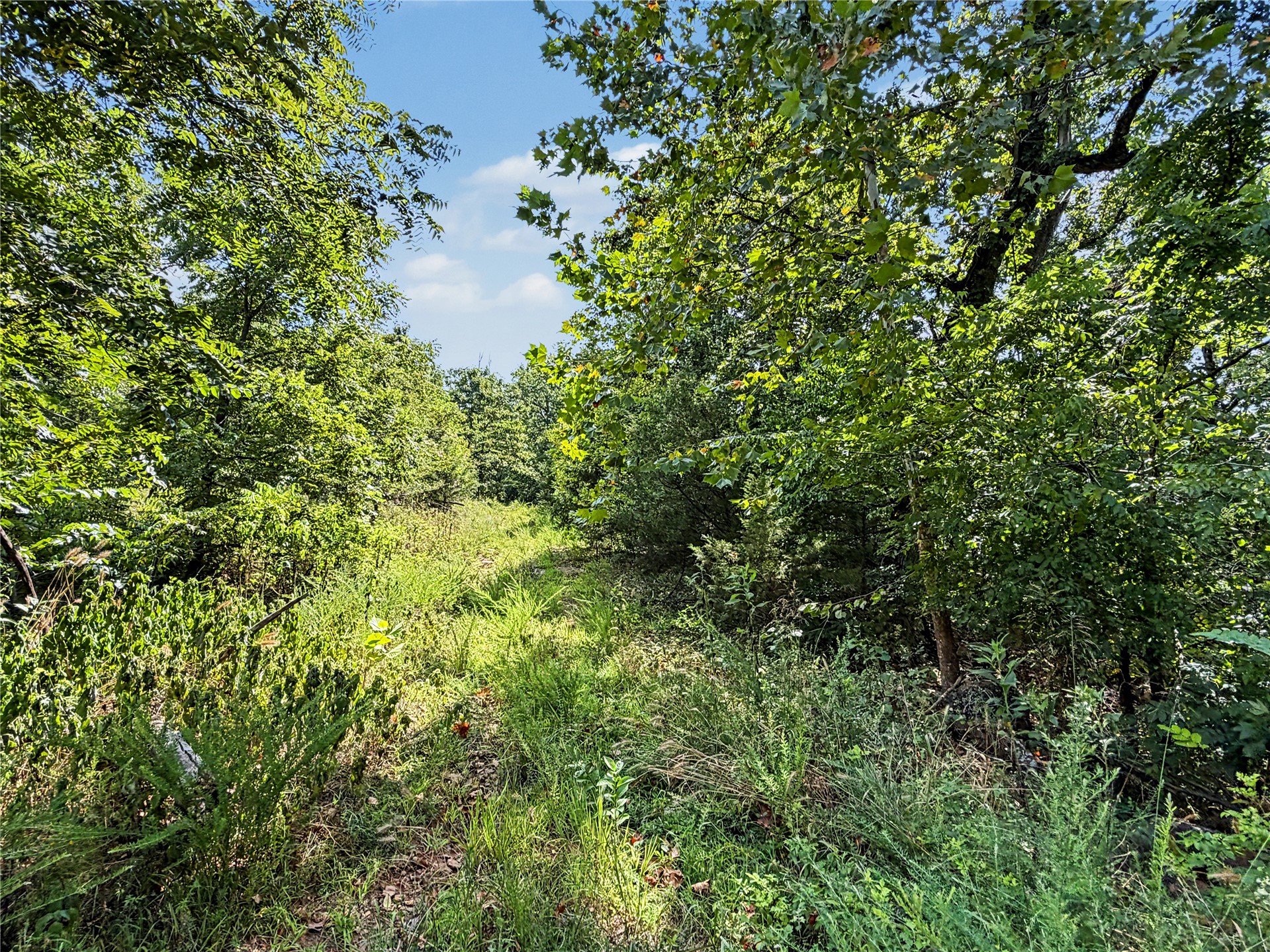 15265 W 917 Road Property Photo 34