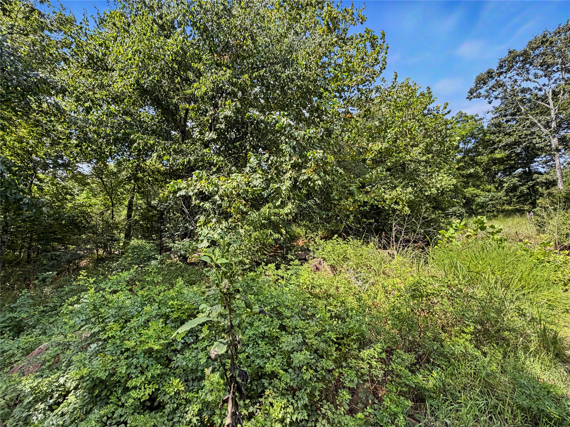 15265 W 917 Road Property Photo 35