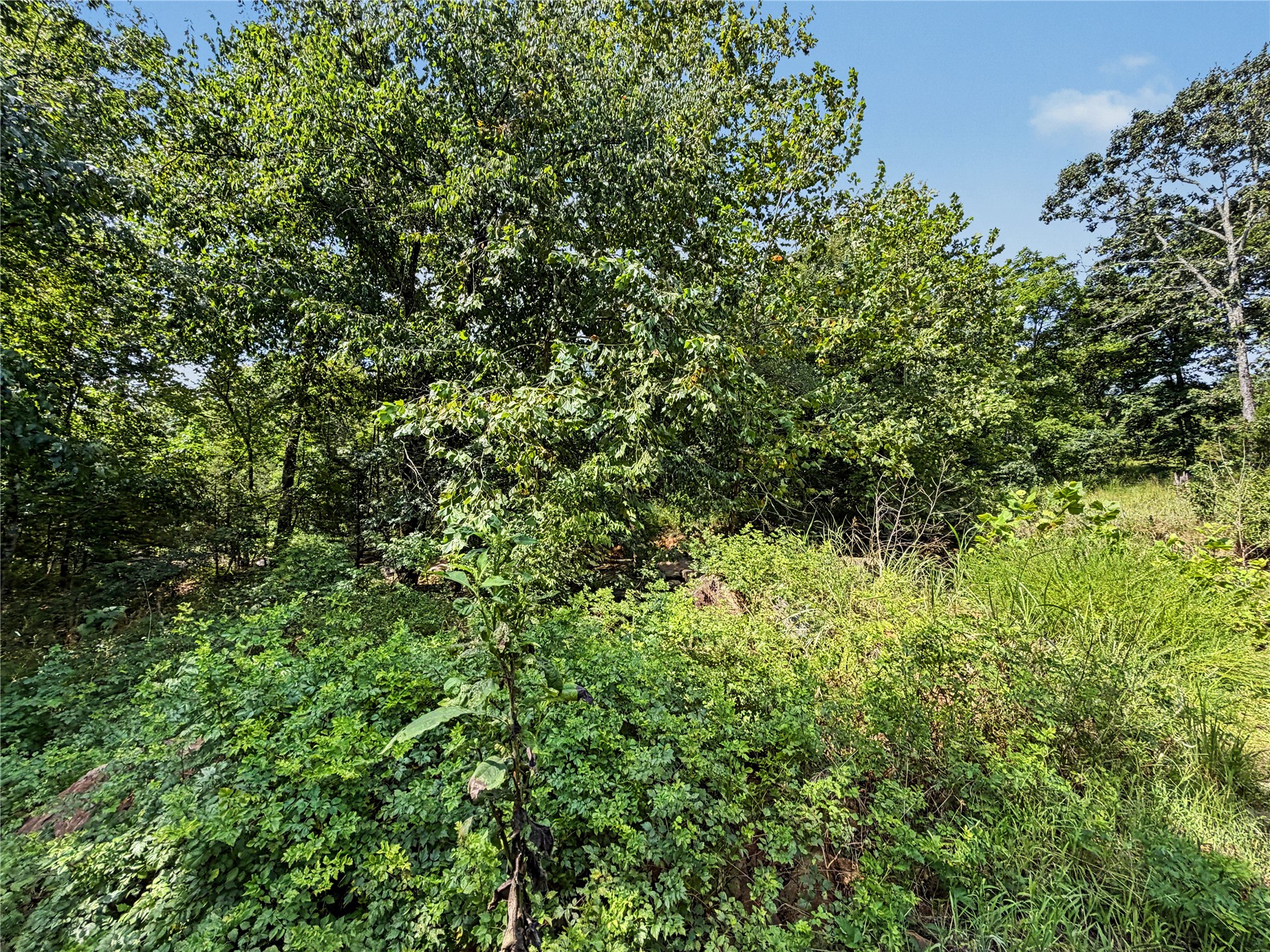 15265 W 917 Road Property Photo 35