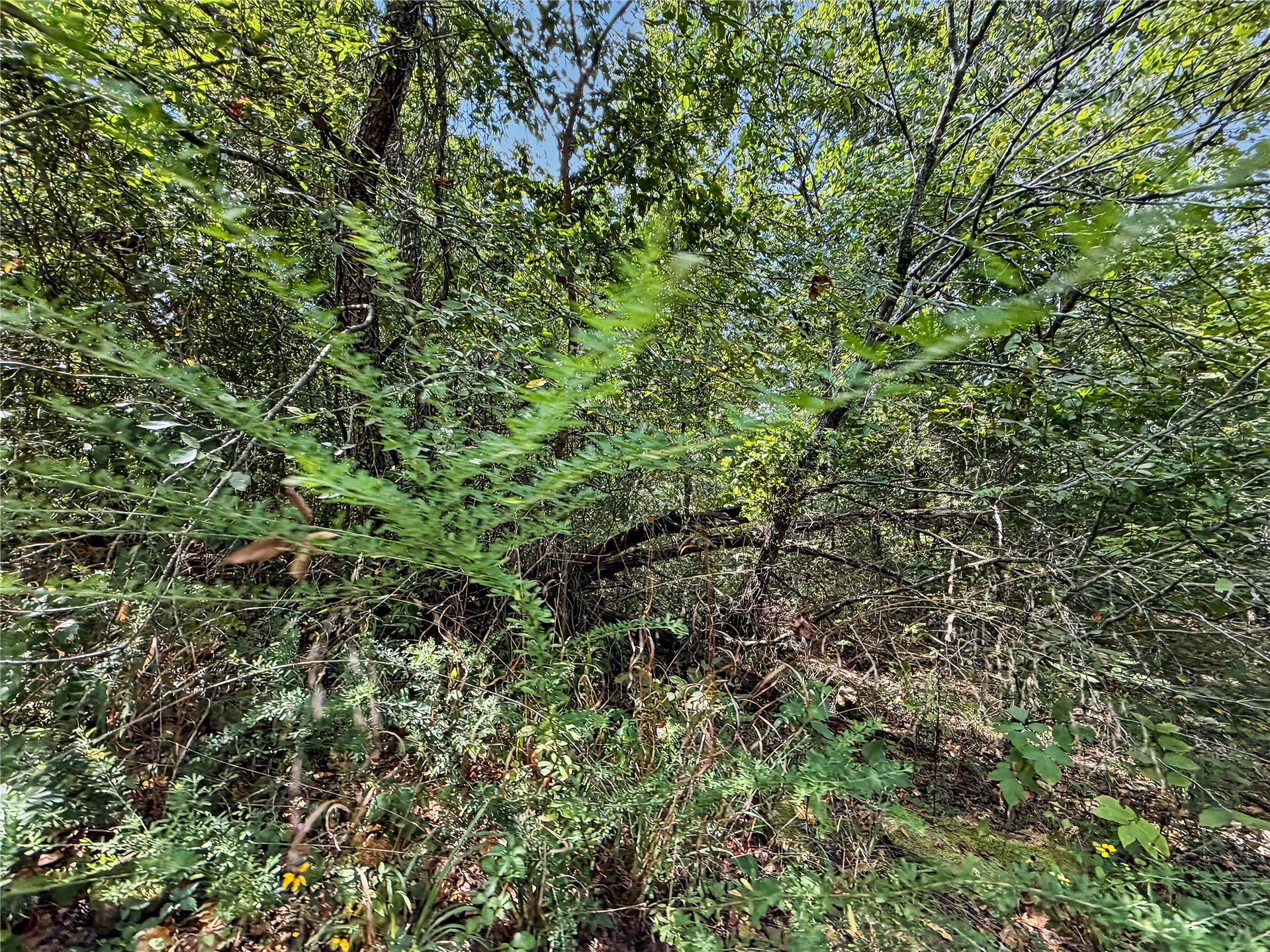 15265 W 917 Road Property Photo 36