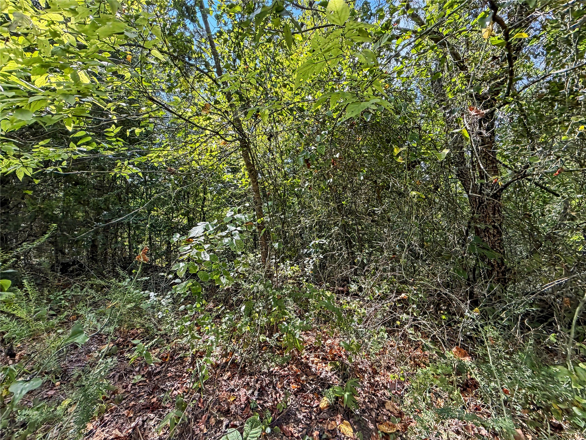 15265 W 917 Road Property Photo 37