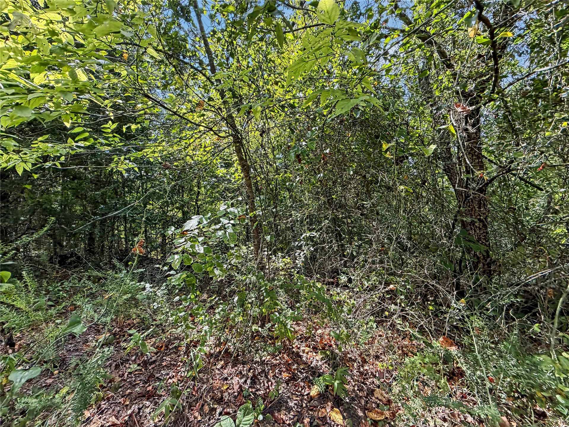 15265 W 917 Road Property Photo 37