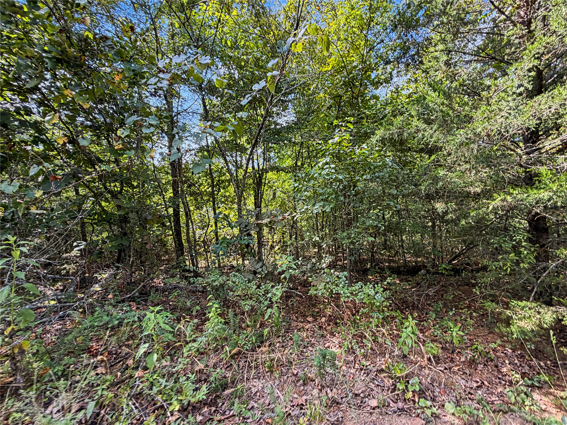15265 W 917 Road Property Photo 38