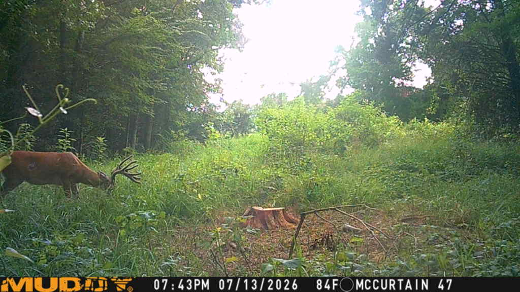 N 4510 Road Property Photo 9