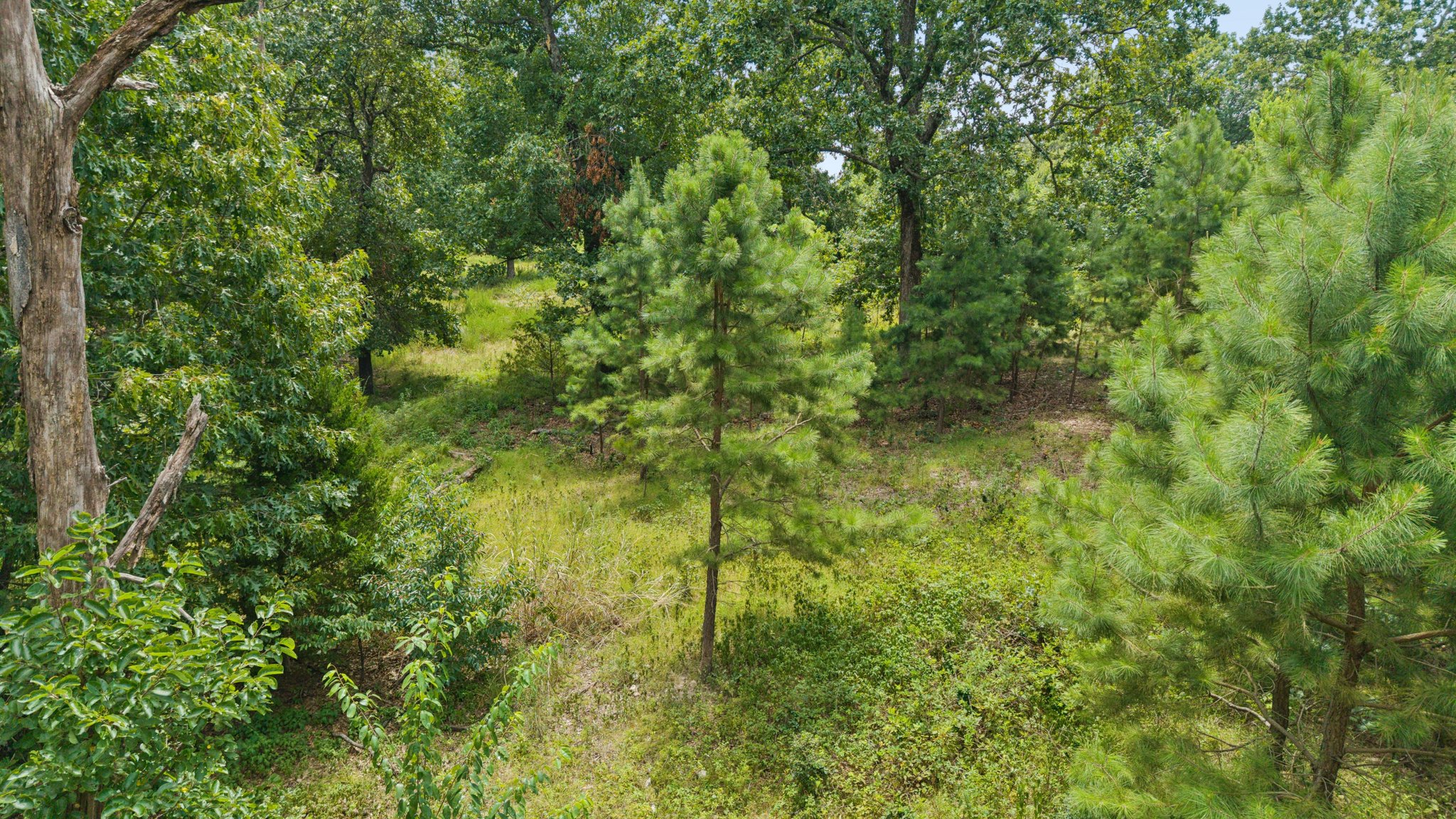 11015 E 523 Property Photo 34