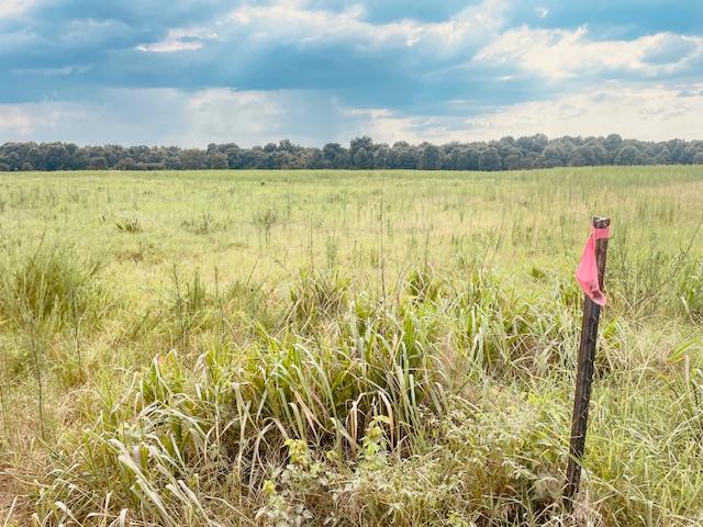 S 4260 Road Property Photo 3