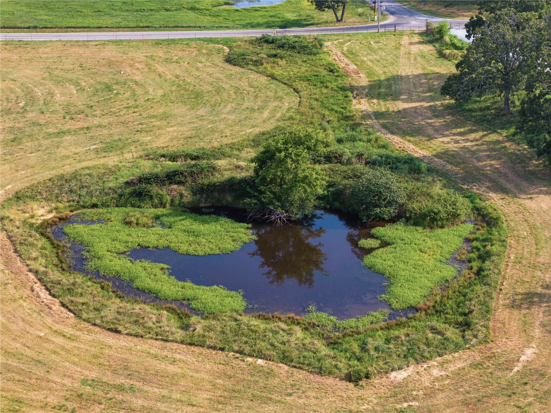 20 320 Road Property Photo 6