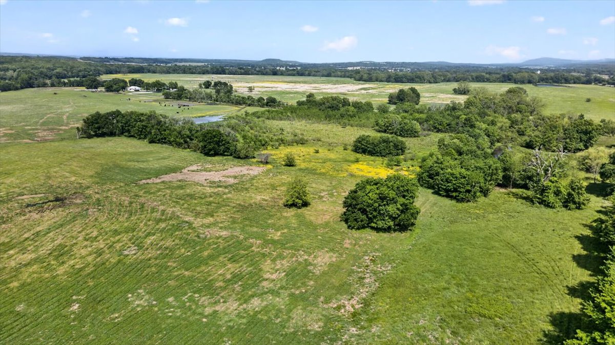30253 W State Hwy 31 Property Photo 65