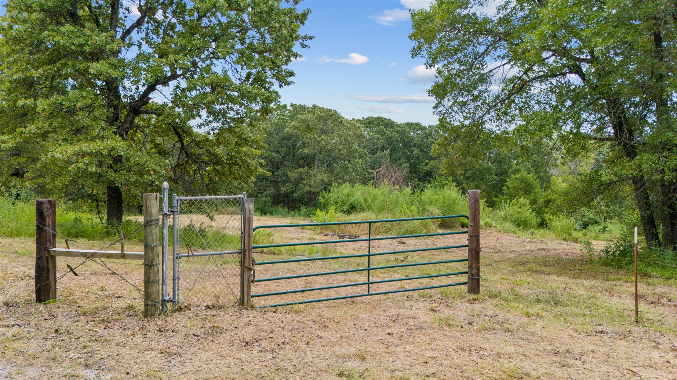 County Road 3605 Property Photo 2