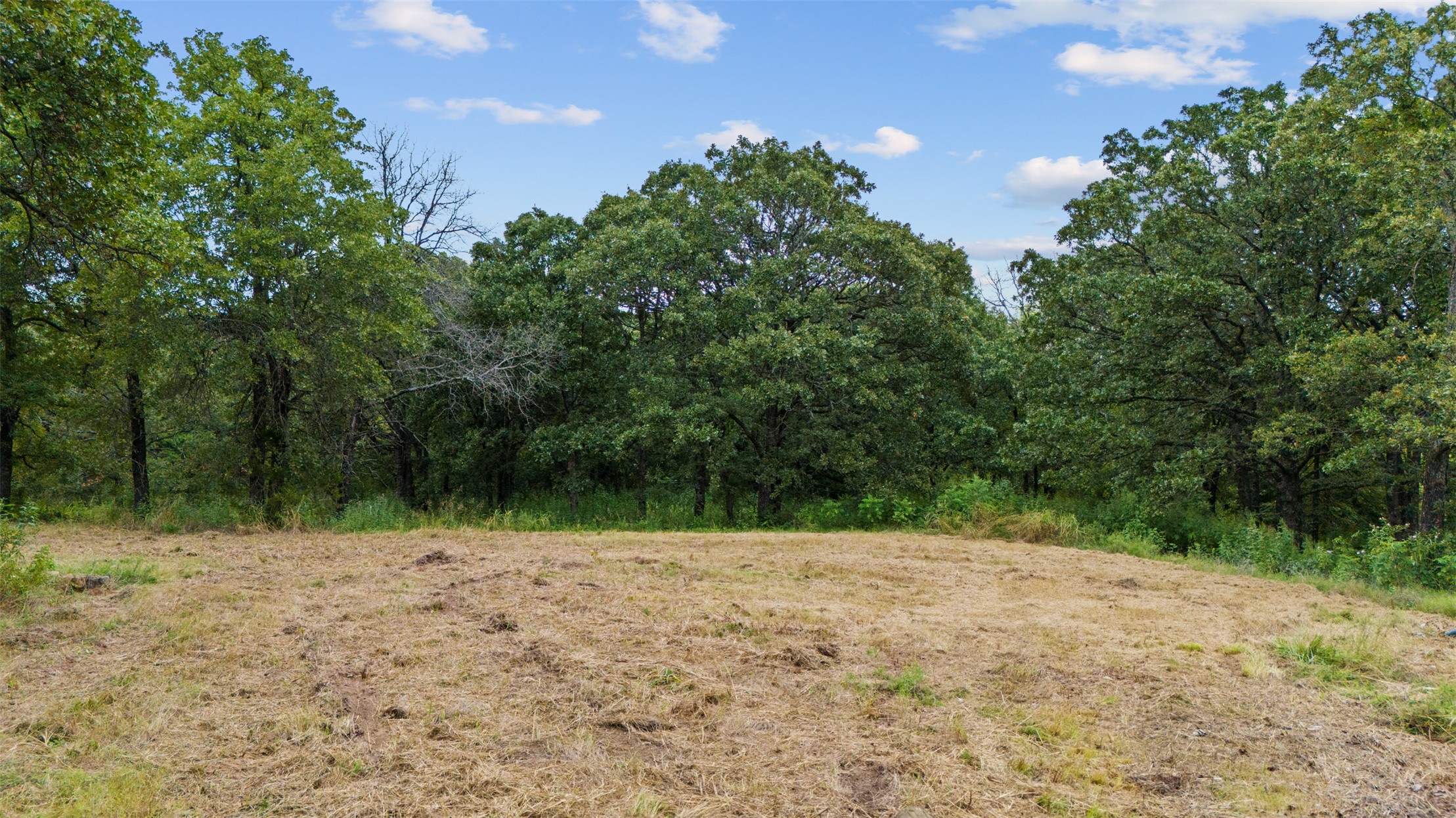 County Road 3605 Property Photo 3