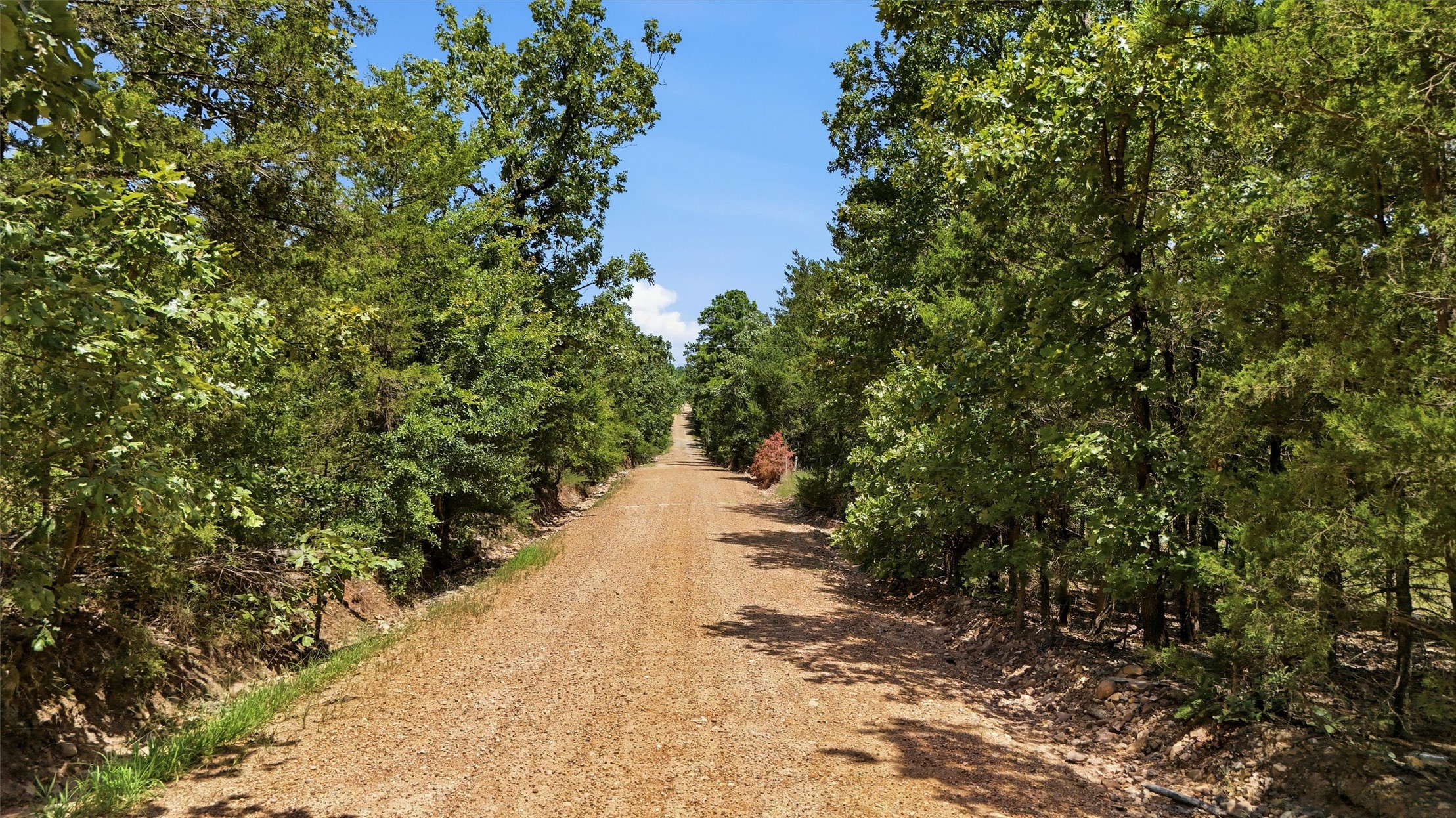 0002 Rattan Trail Property Photo 12