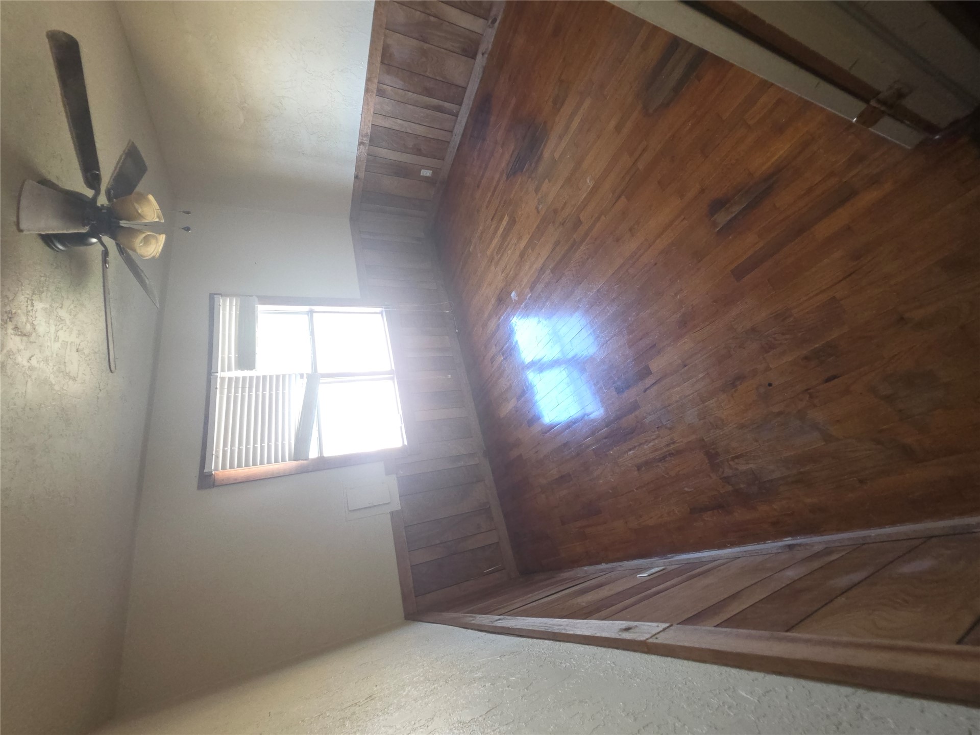 406 5th Property Photo 11