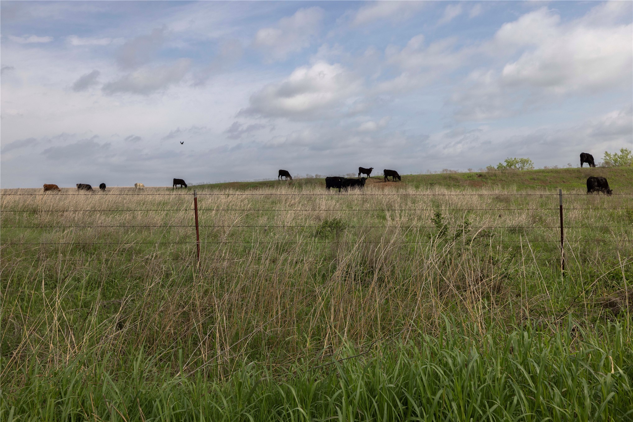 0041 E 4500 Road Property Photo 2