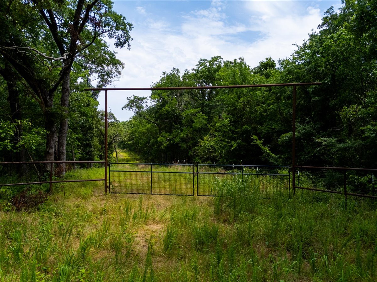650 Property Photo 3
