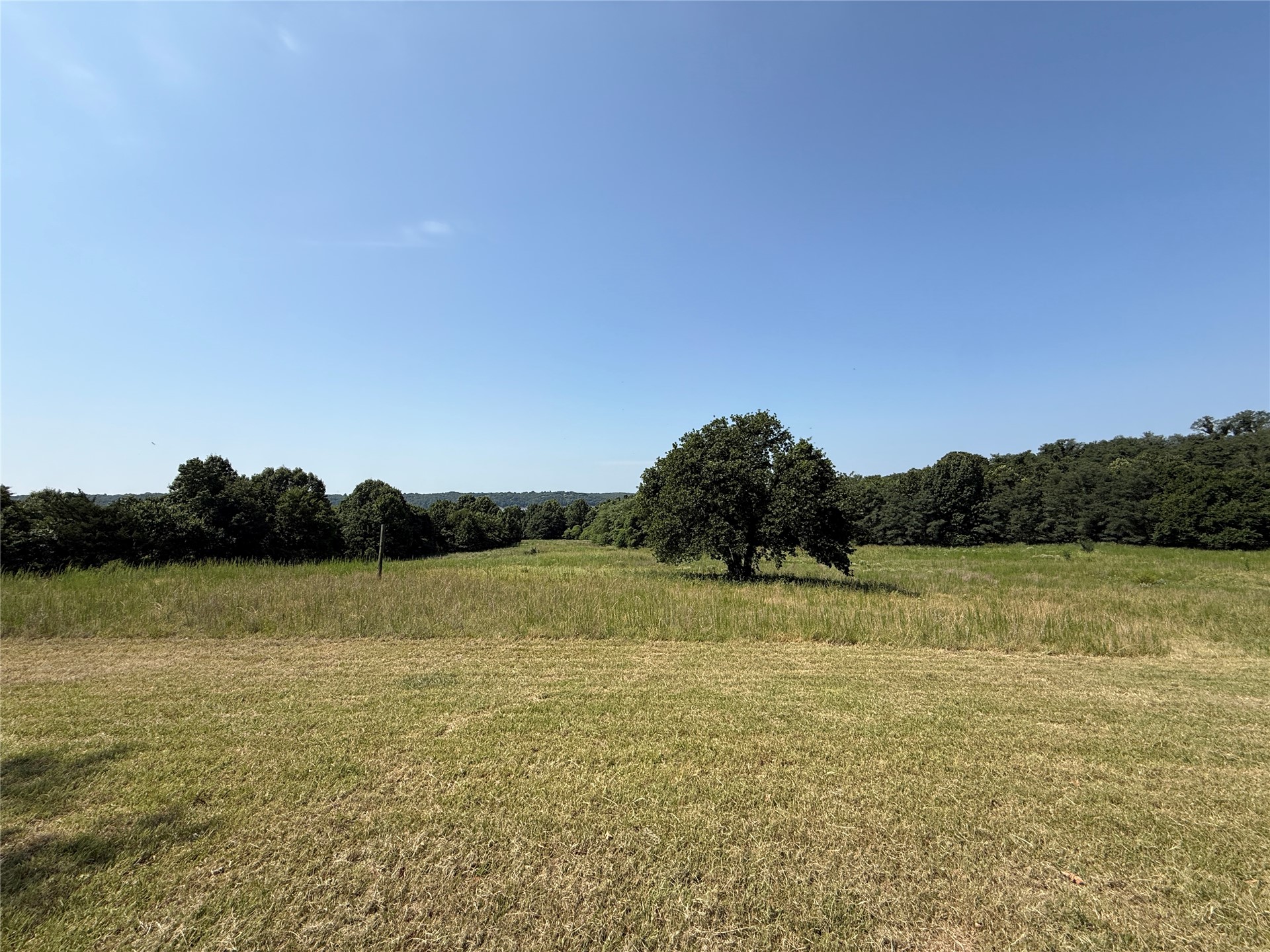 350 County Road 1577 Property Photo 3