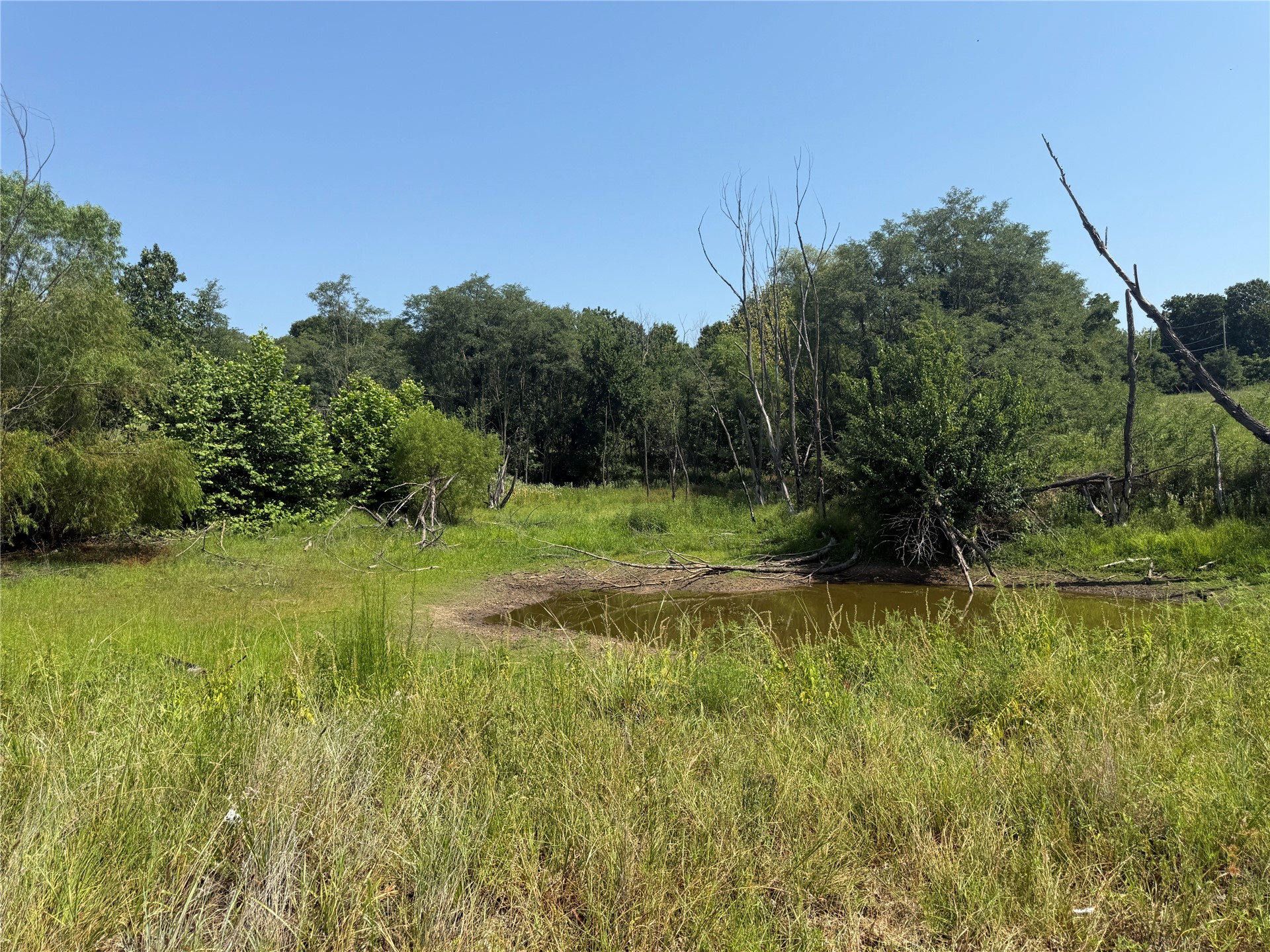 350 County Road 1577 Property Photo 6