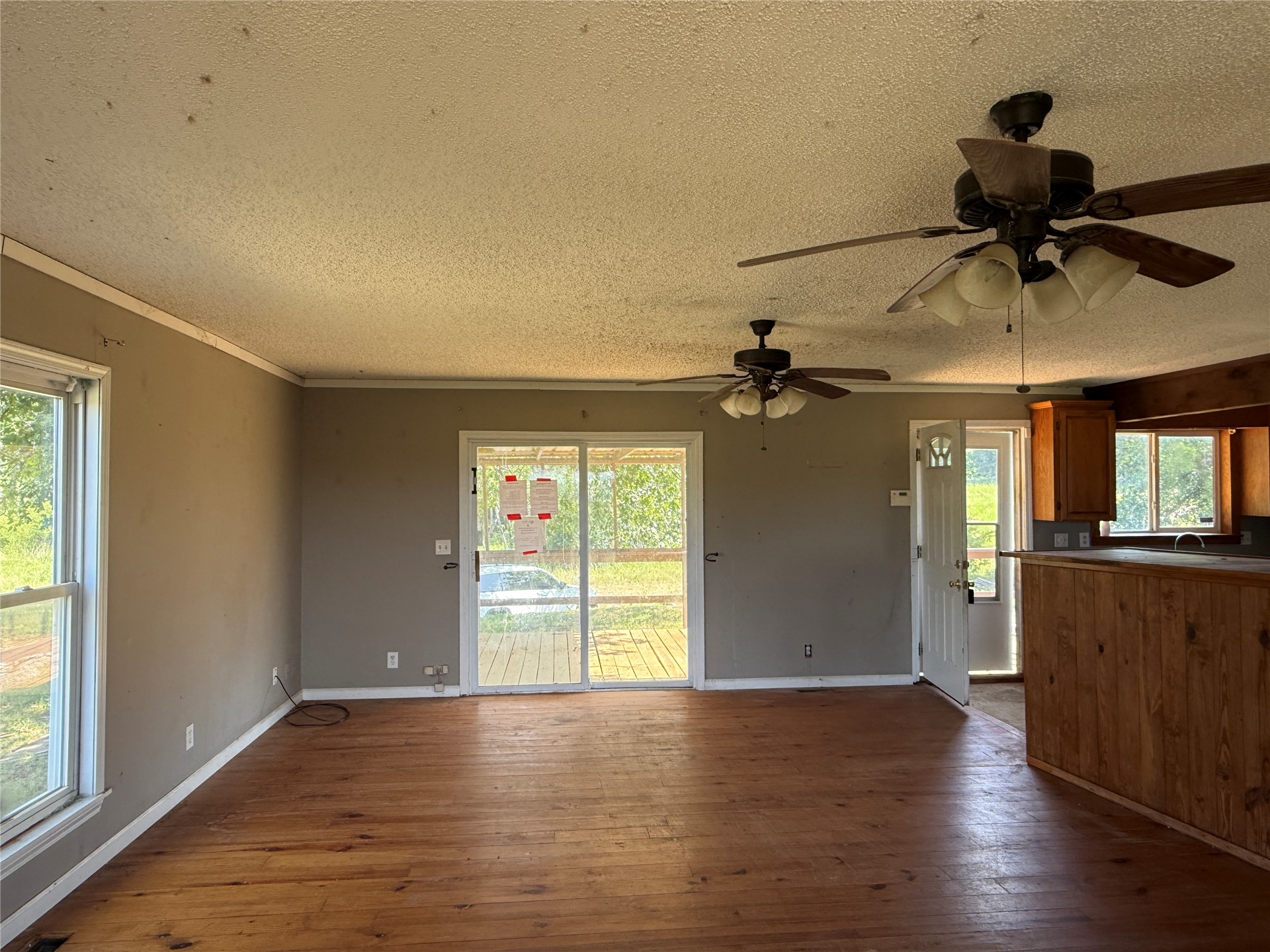 350 County Road 1577 Property Photo 8
