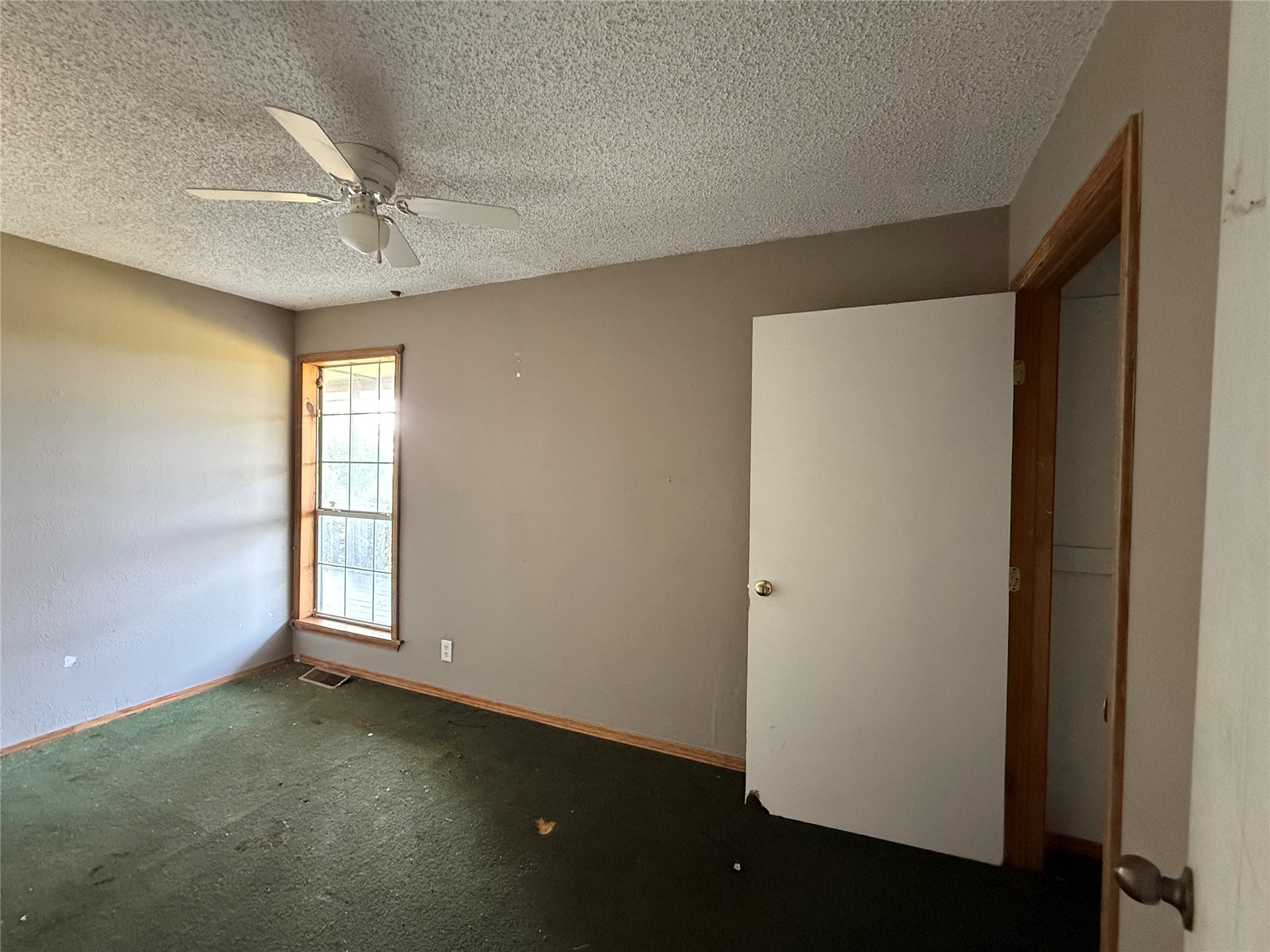 350 County Road 1577 Property Photo 17