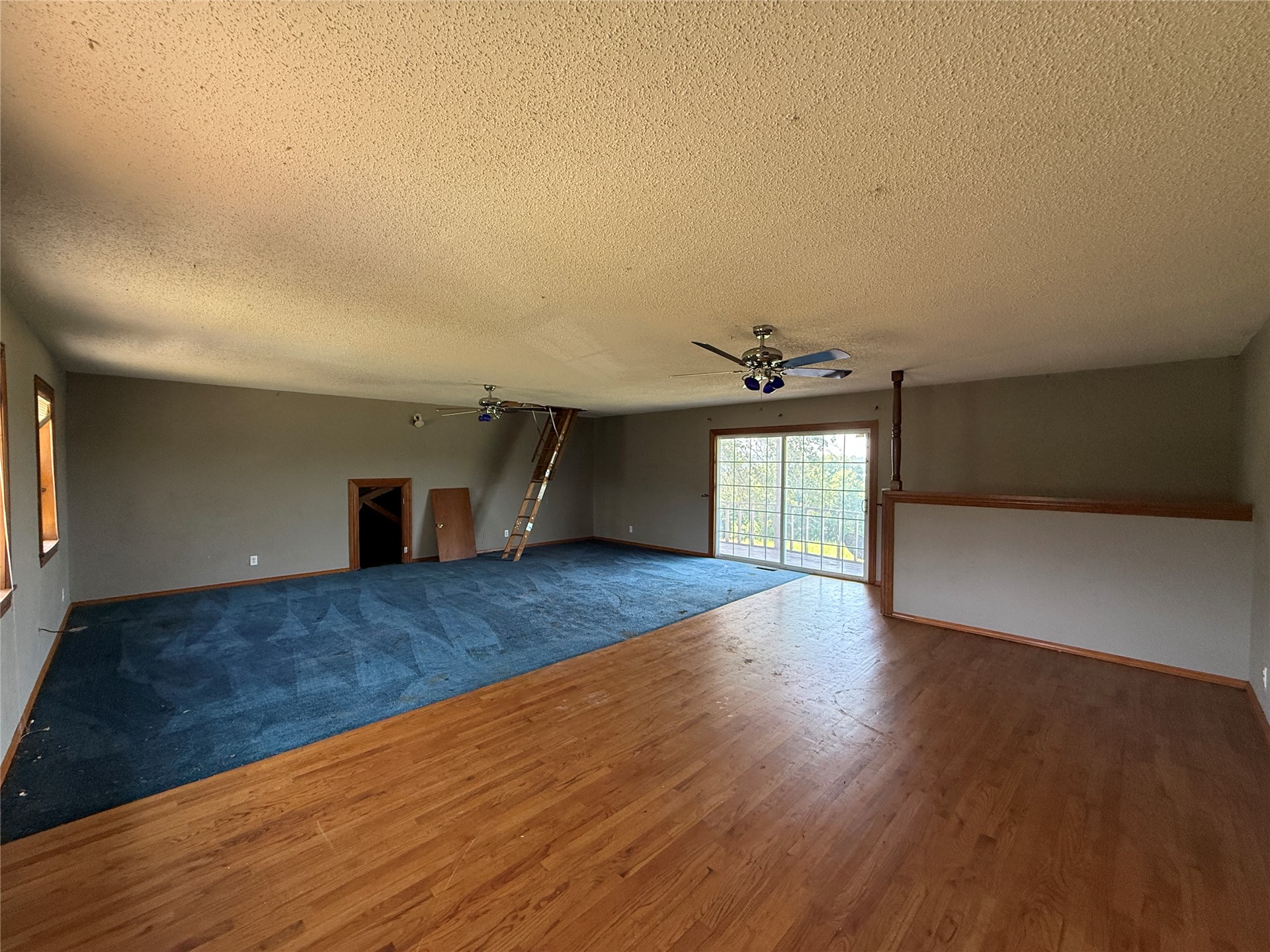 350 County Road 1577 Property Photo 19