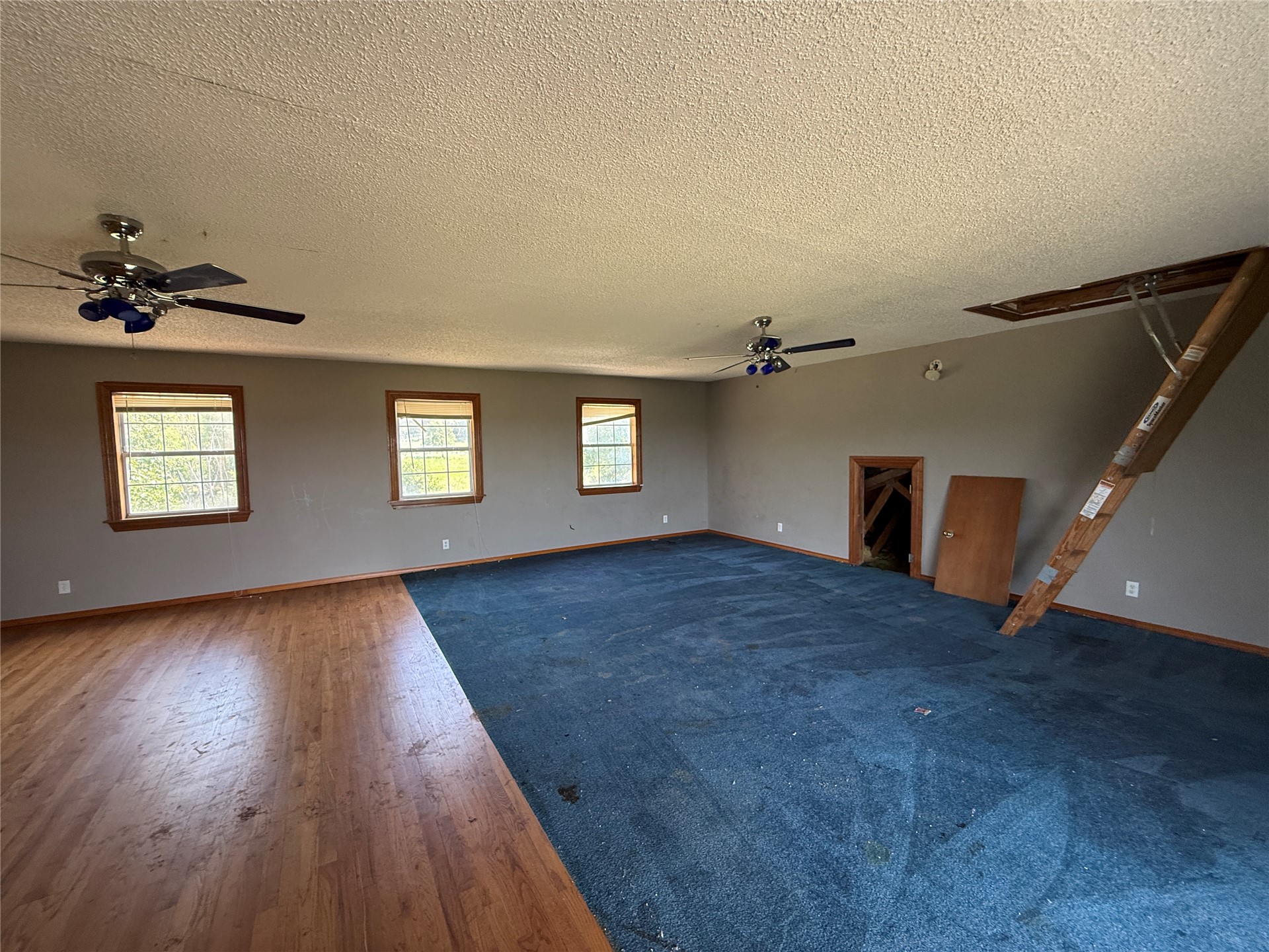 350 County Road 1577 Property Photo 20