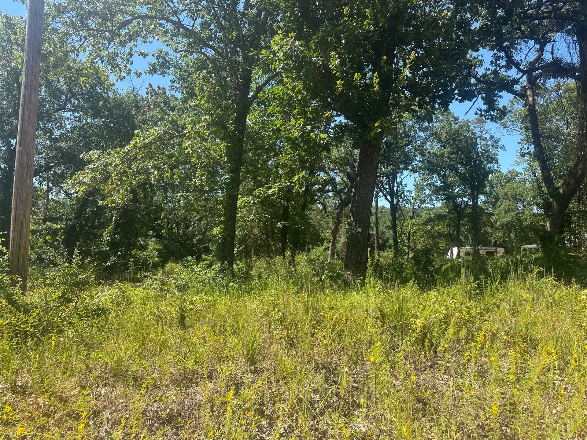 0 Driftwood Road Property Photo 1