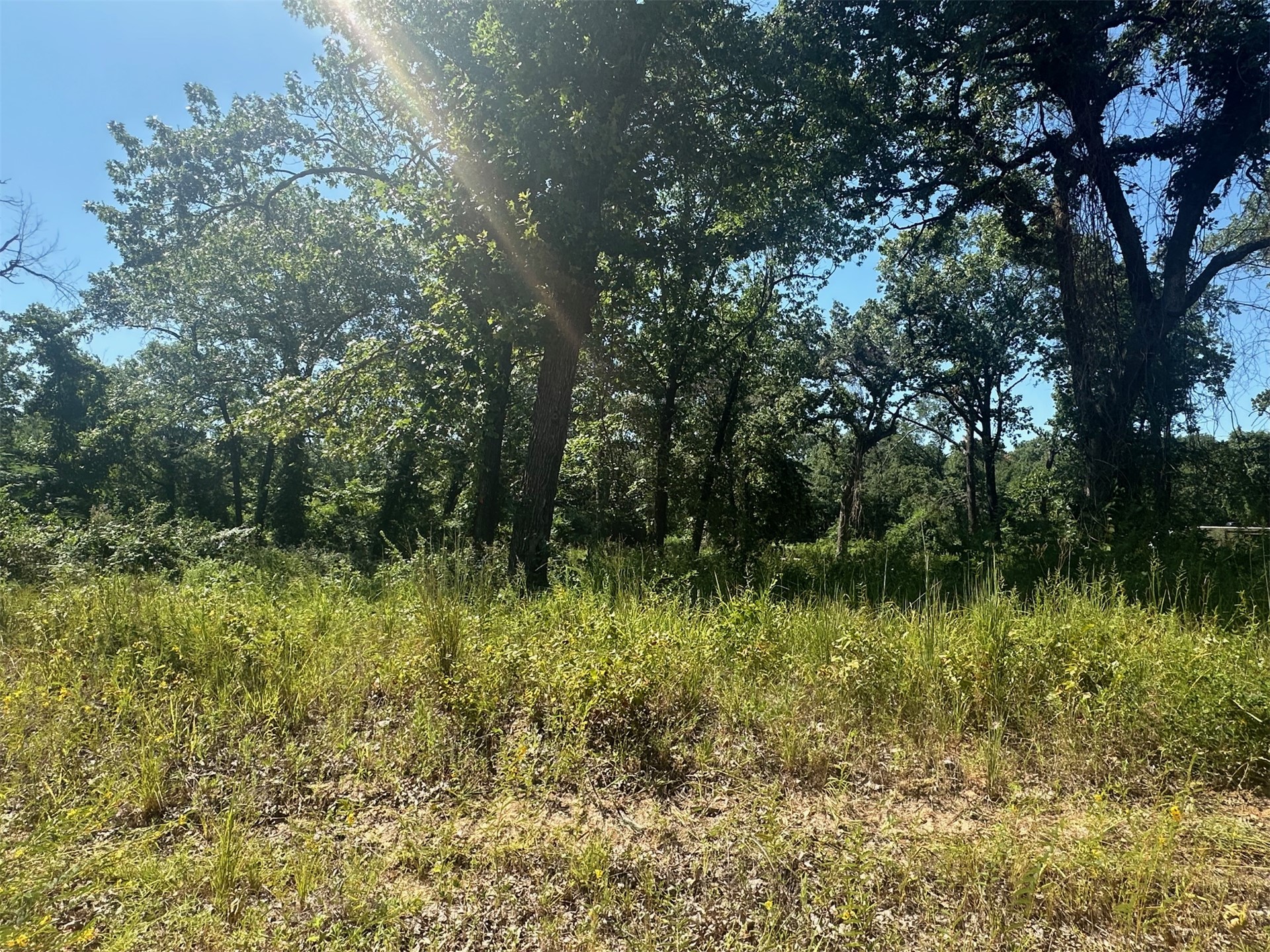 0 Driftwood Road Property Photo 2