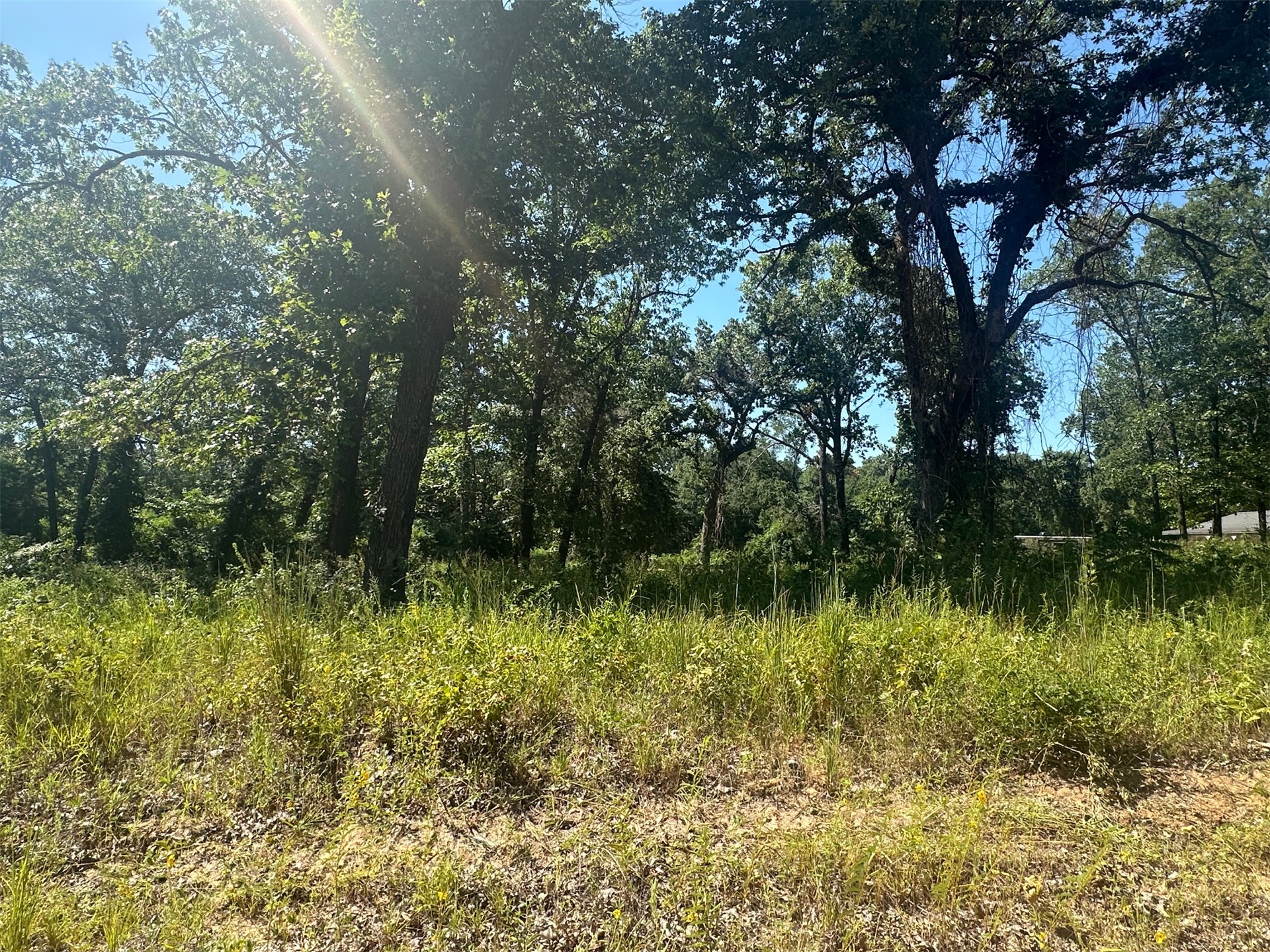 0 Driftwood Road Property Photo 3