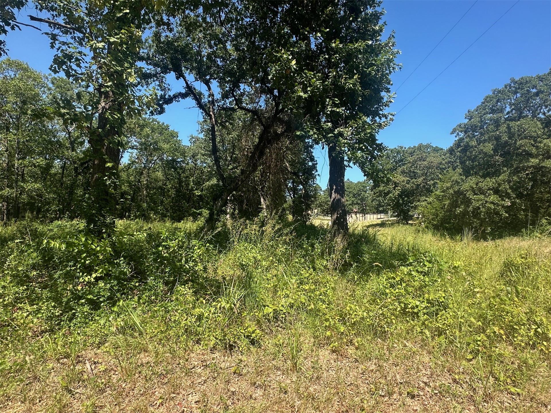 0 Driftwood Road Property Photo 4