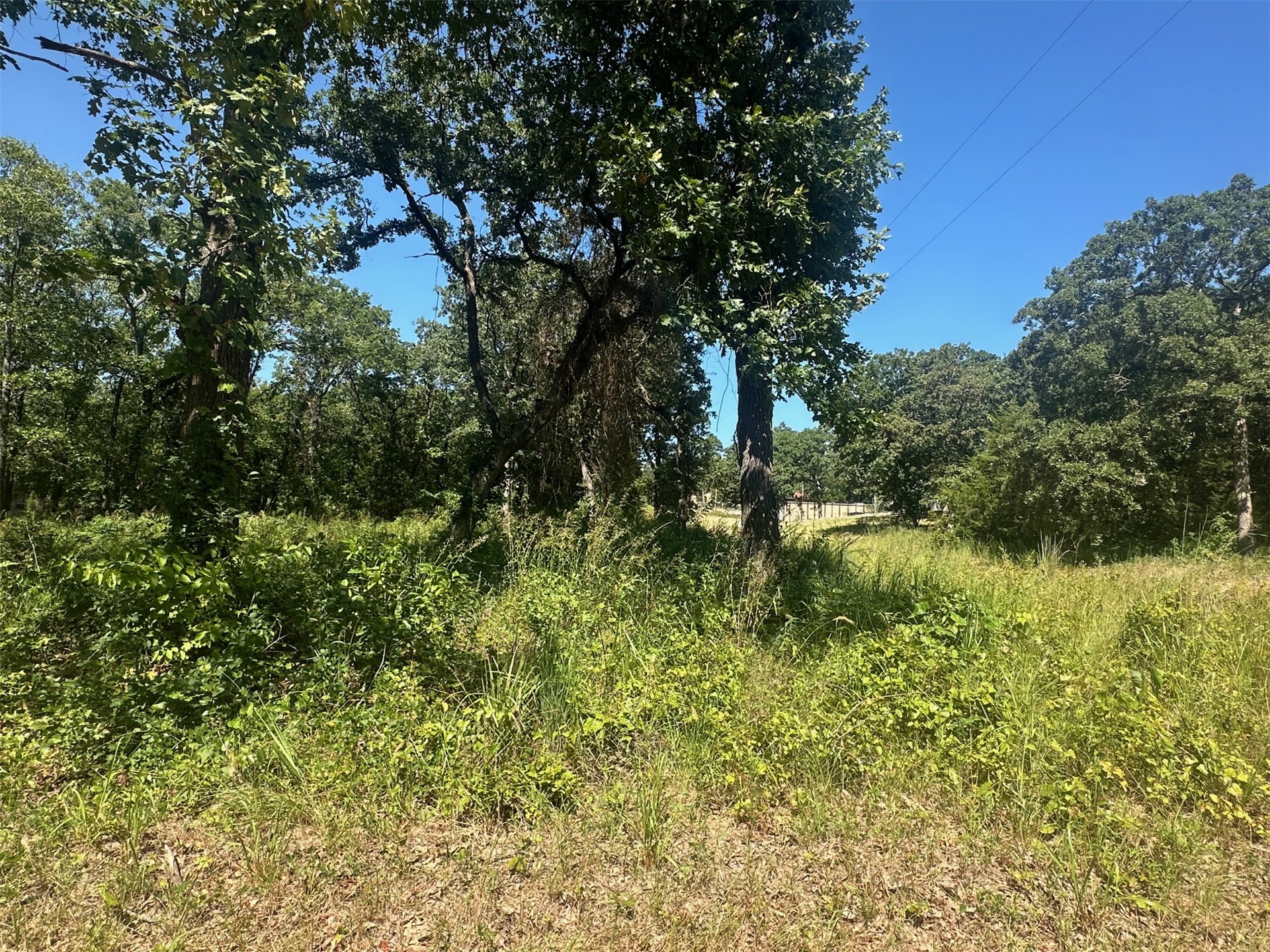 0 Driftwood Road Property Photo 5