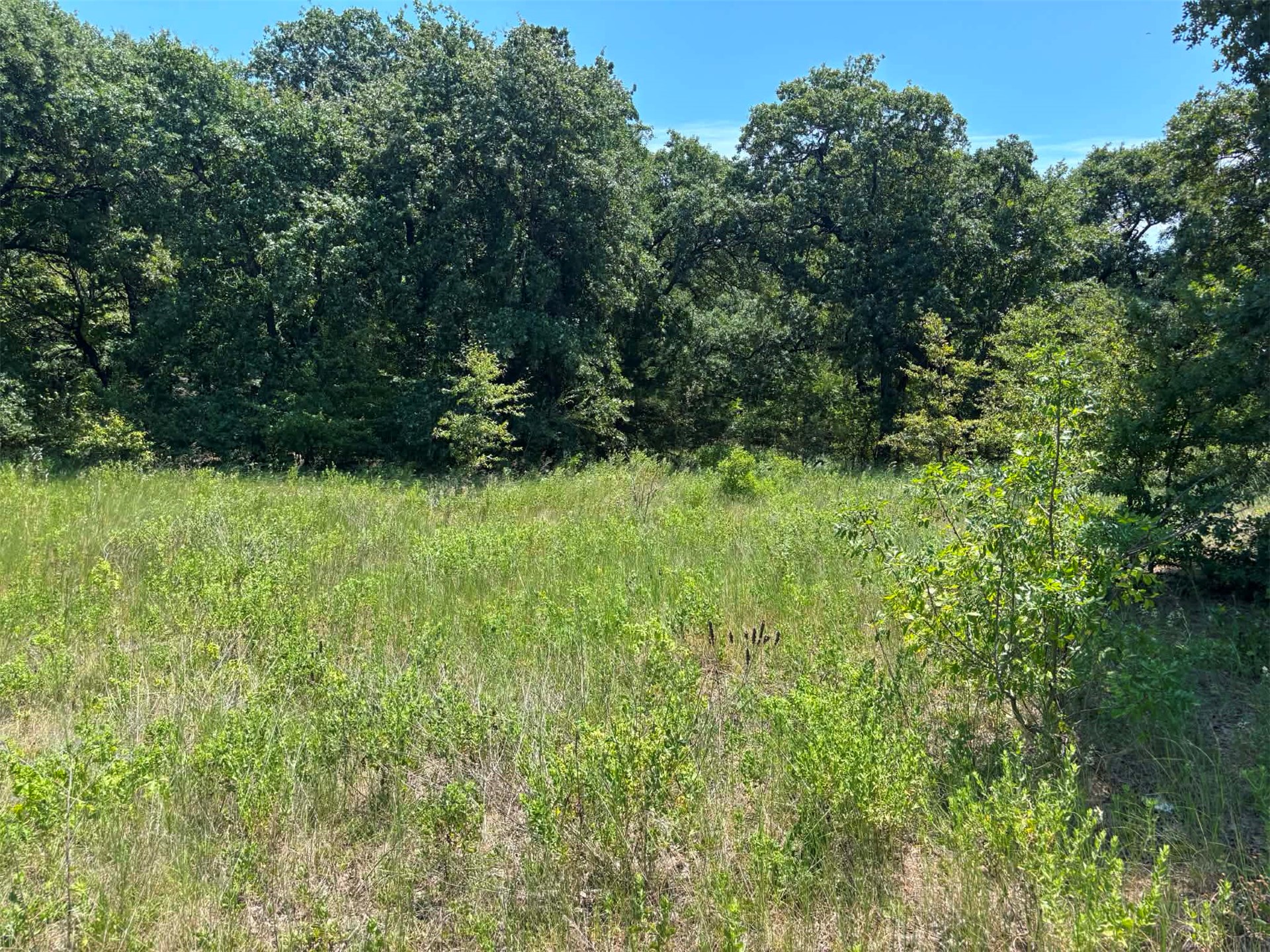 00 Pearman Road Property Photo 11