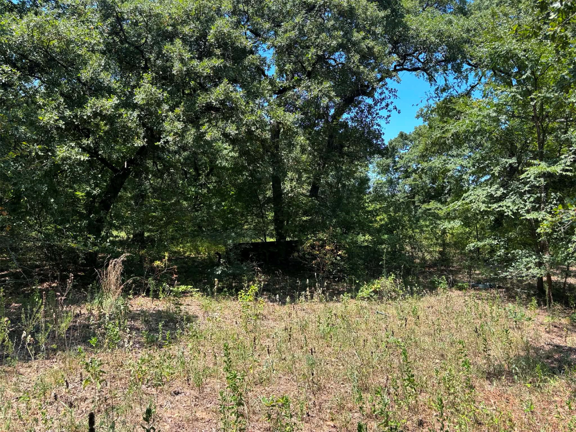 00 Pearman Road Property Photo 12