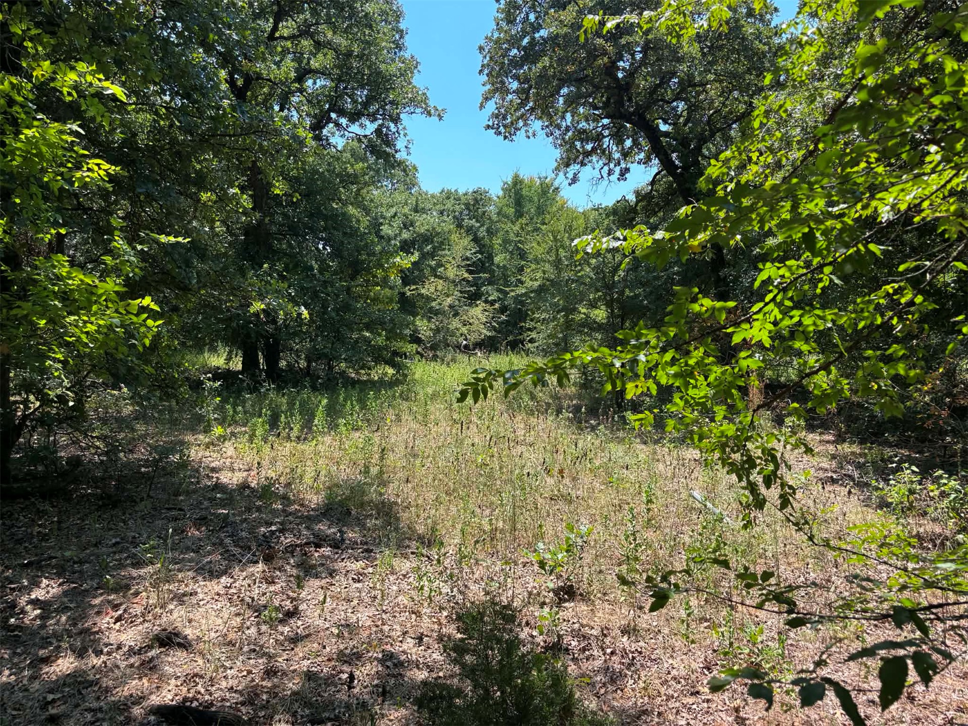 00 Pearman Road Property Photo 13