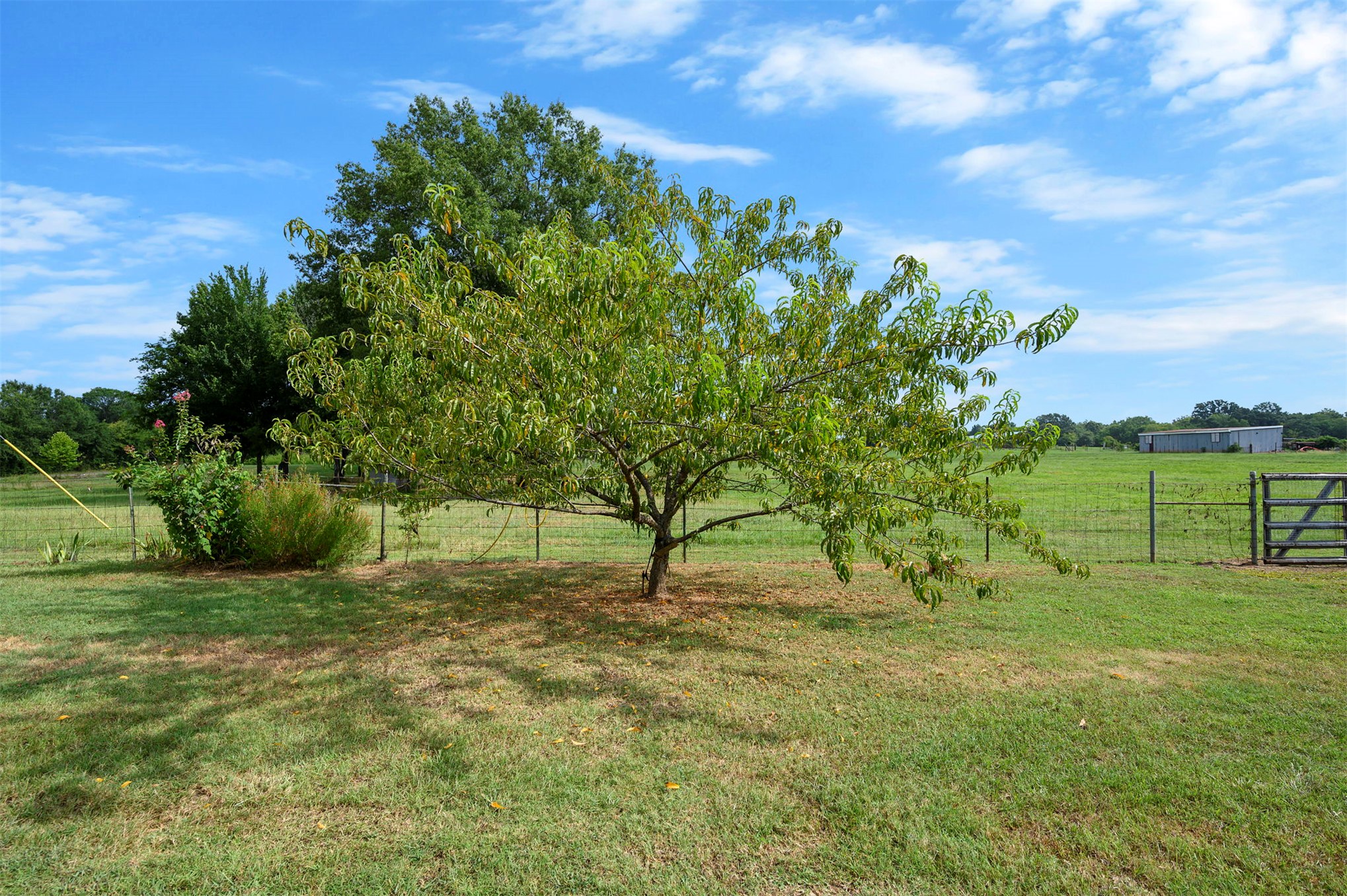 622 N 4700 Property Photo 77