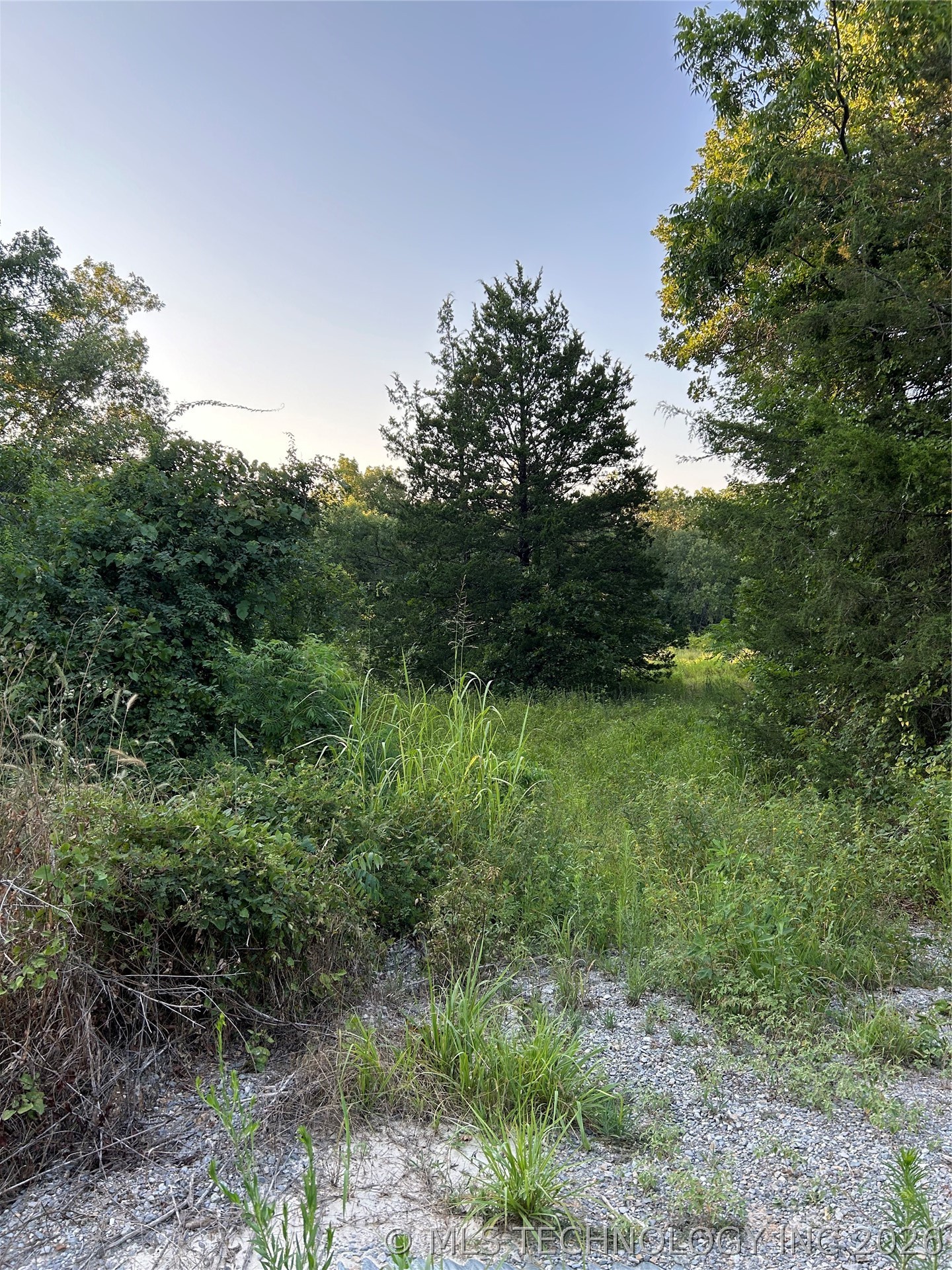 Cedar Property Photo 1