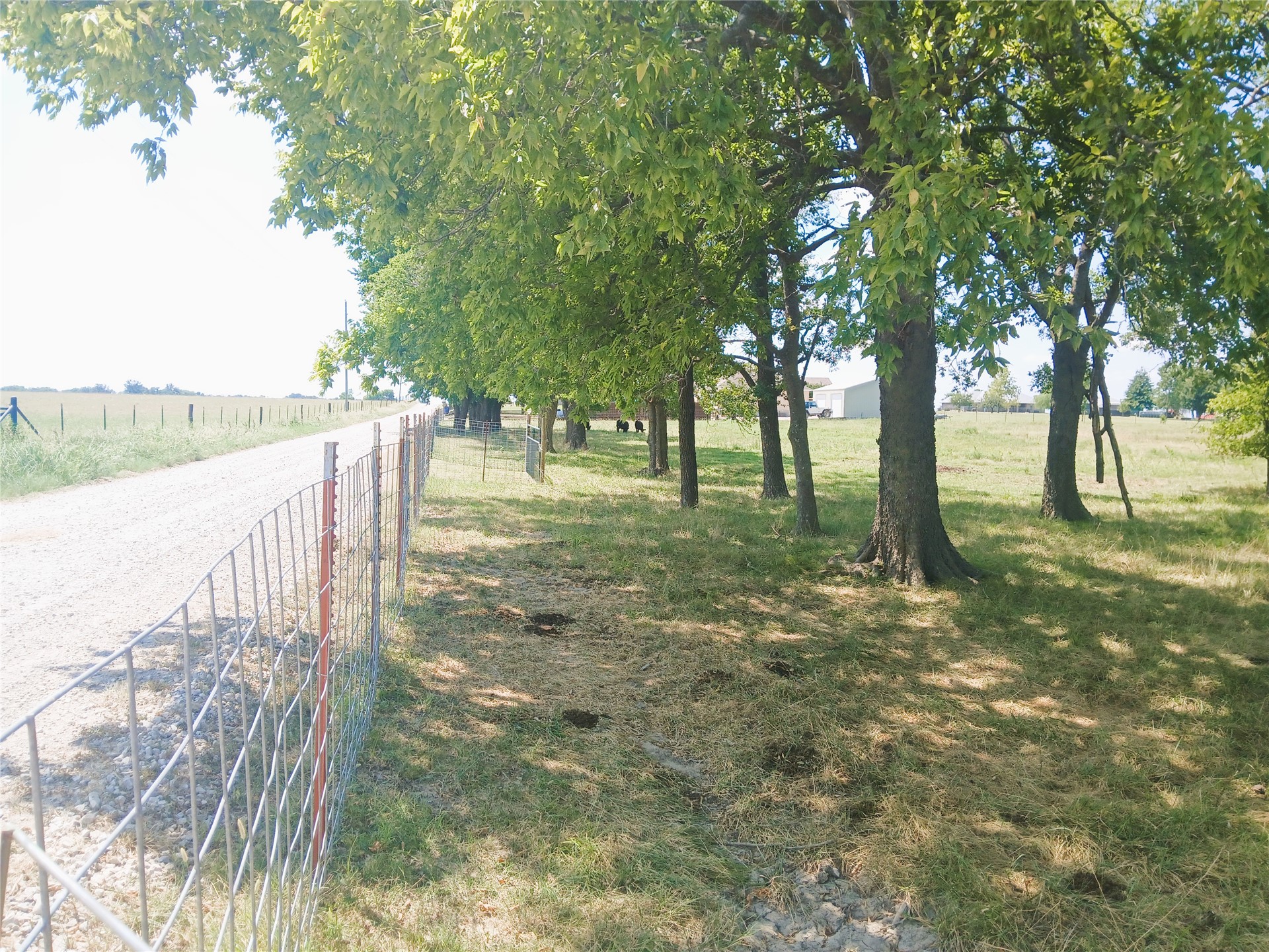 2793 Ns 415 Road Property Photo 62