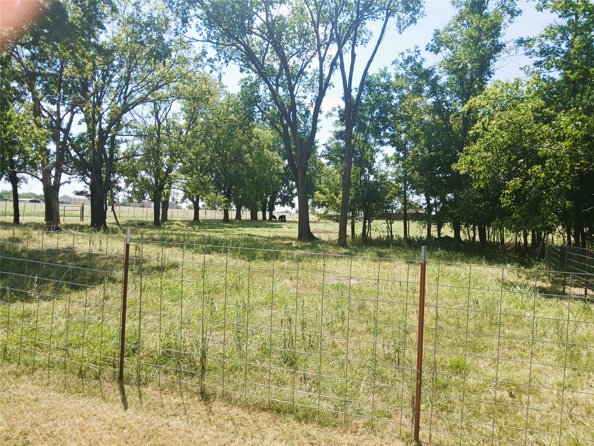 2793 Ns 415 Road Property Photo 63