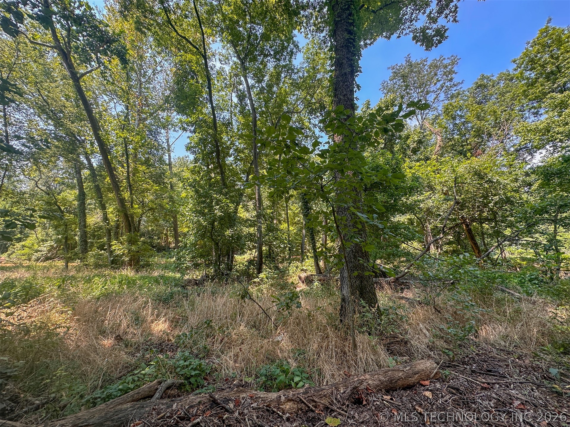 180 E Wyandotte Road Property Photo 33