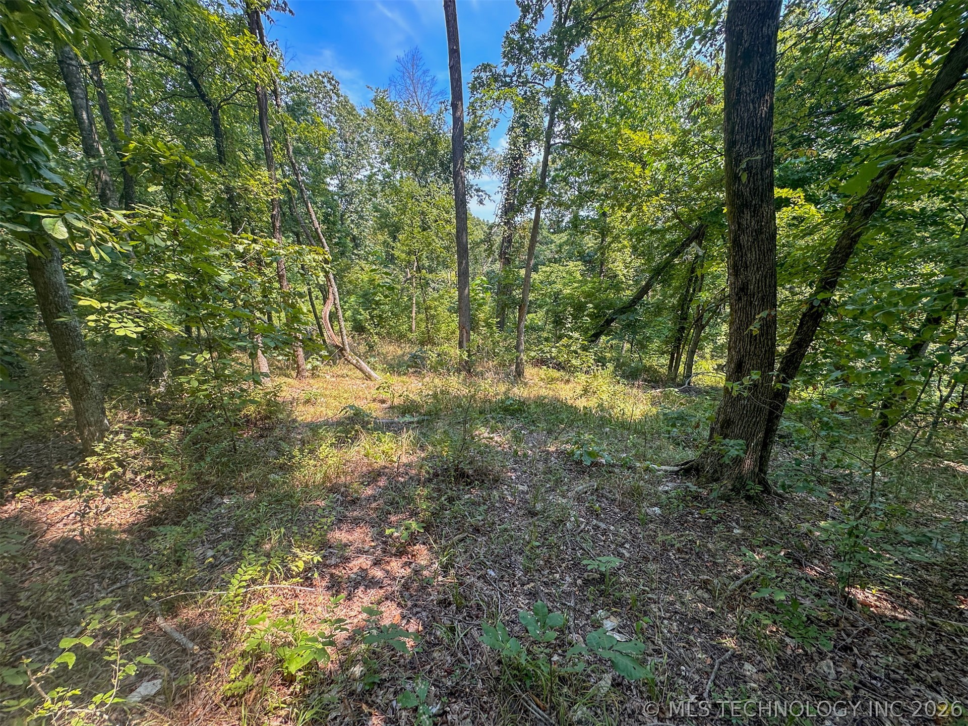 180 E Wyandotte Road Property Photo 37