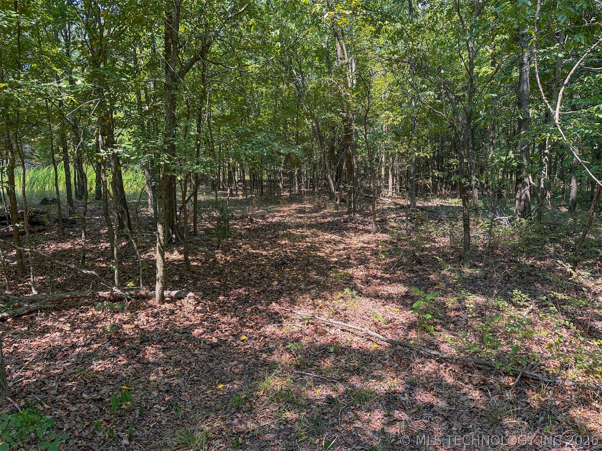180 E Wyandotte Road Property Photo 38