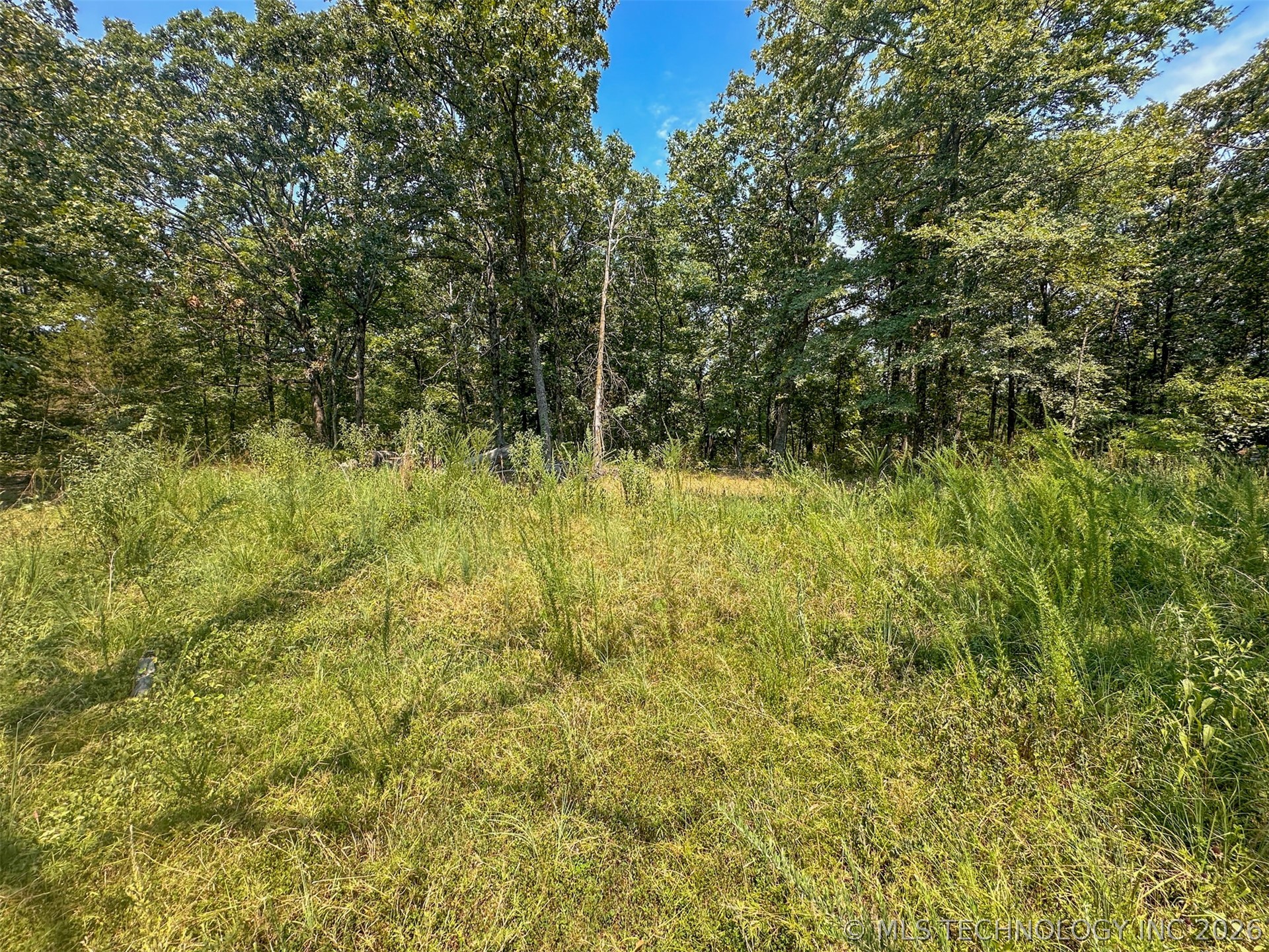 180 E Wyandotte Road Property Photo 40