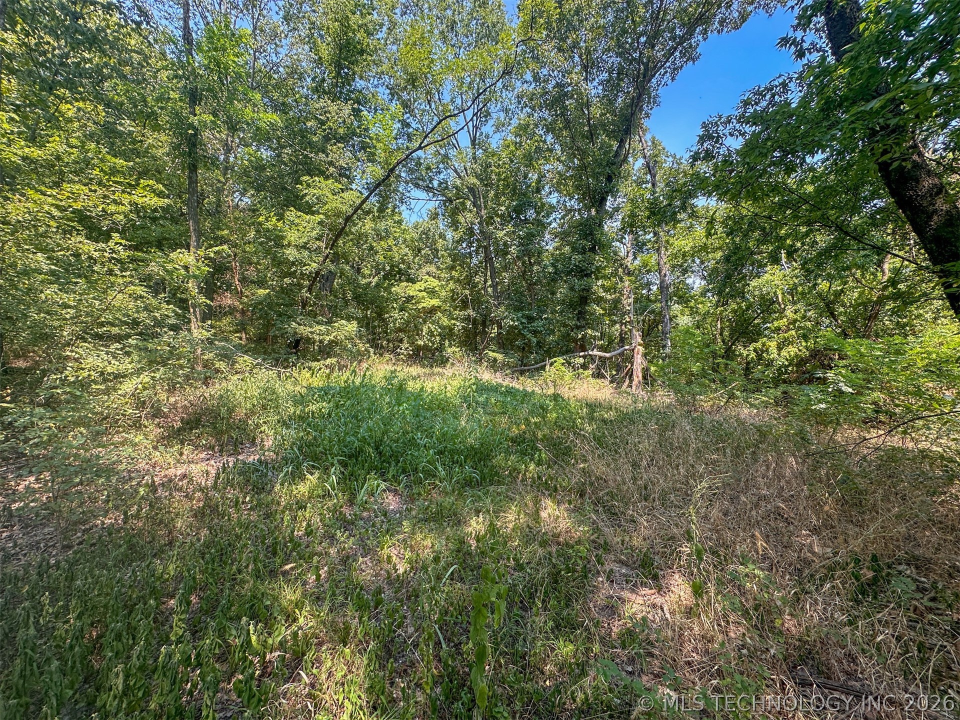 180 E Wyandotte Road Property Photo 43