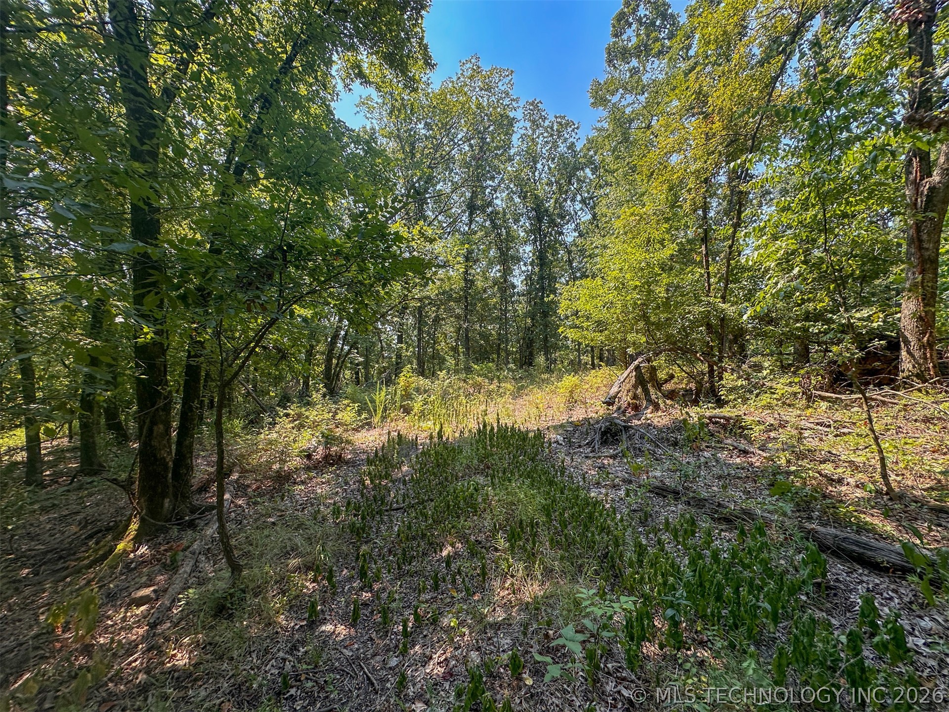 180 E Wyandotte Road Property Photo 46