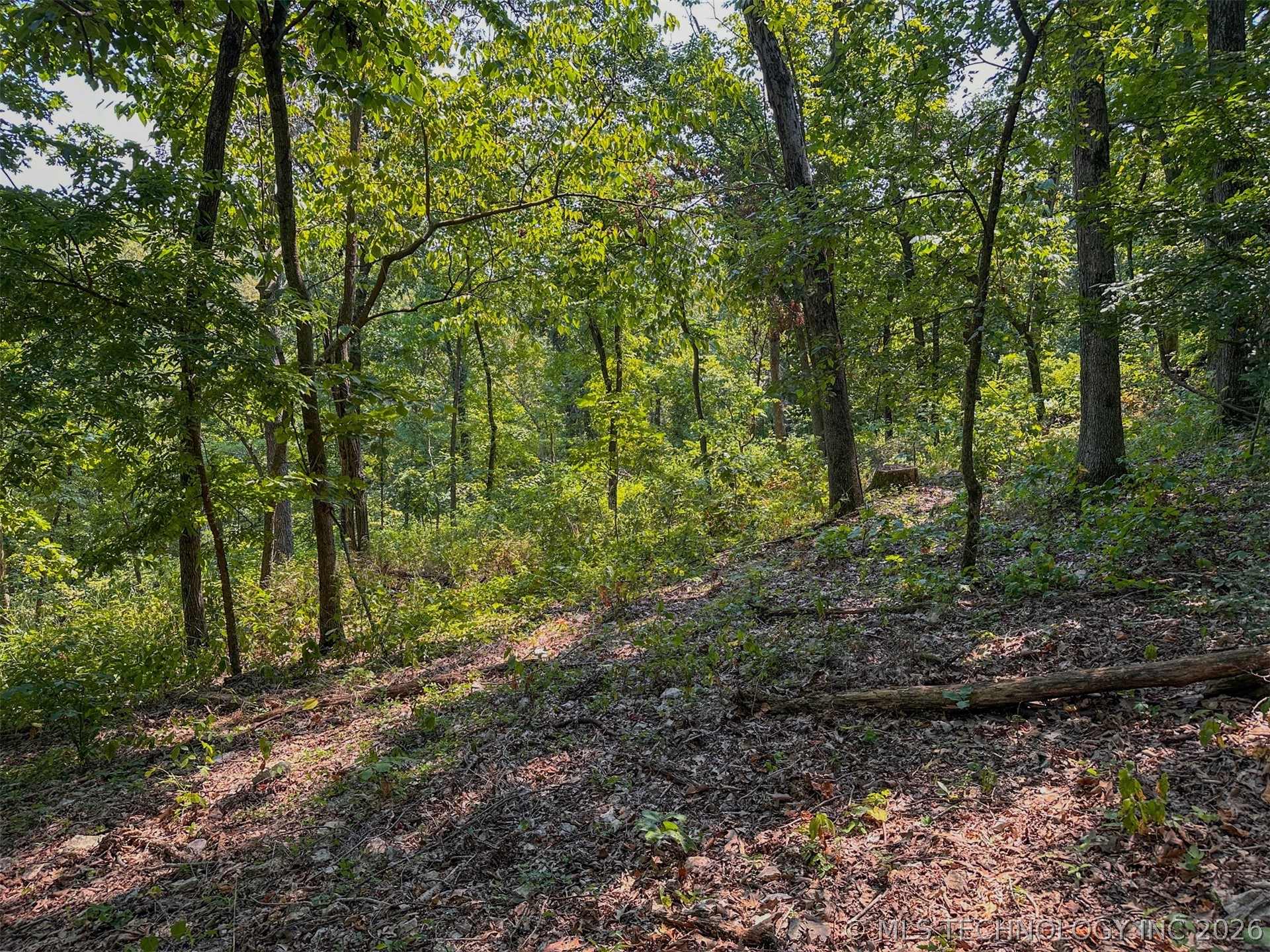 180 E Wyandotte Road Property Photo 48