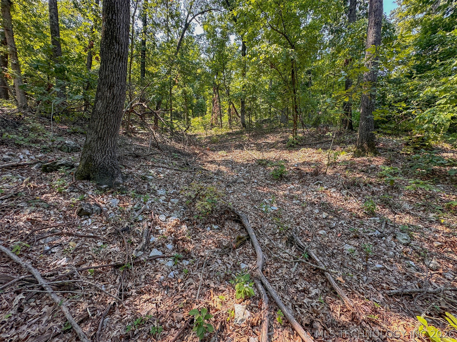 180 E Wyandotte Road Property Photo 49