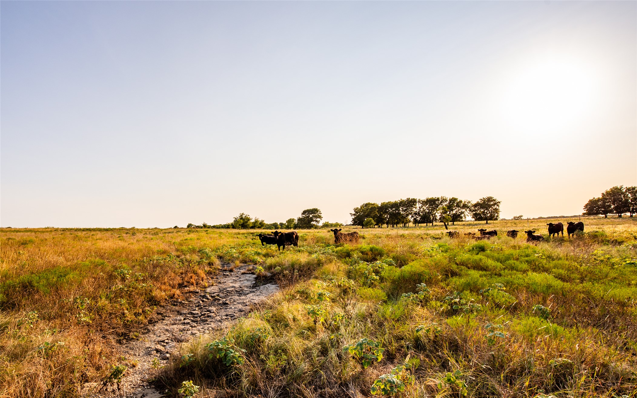 438505 E 370 Road Property Photo 90